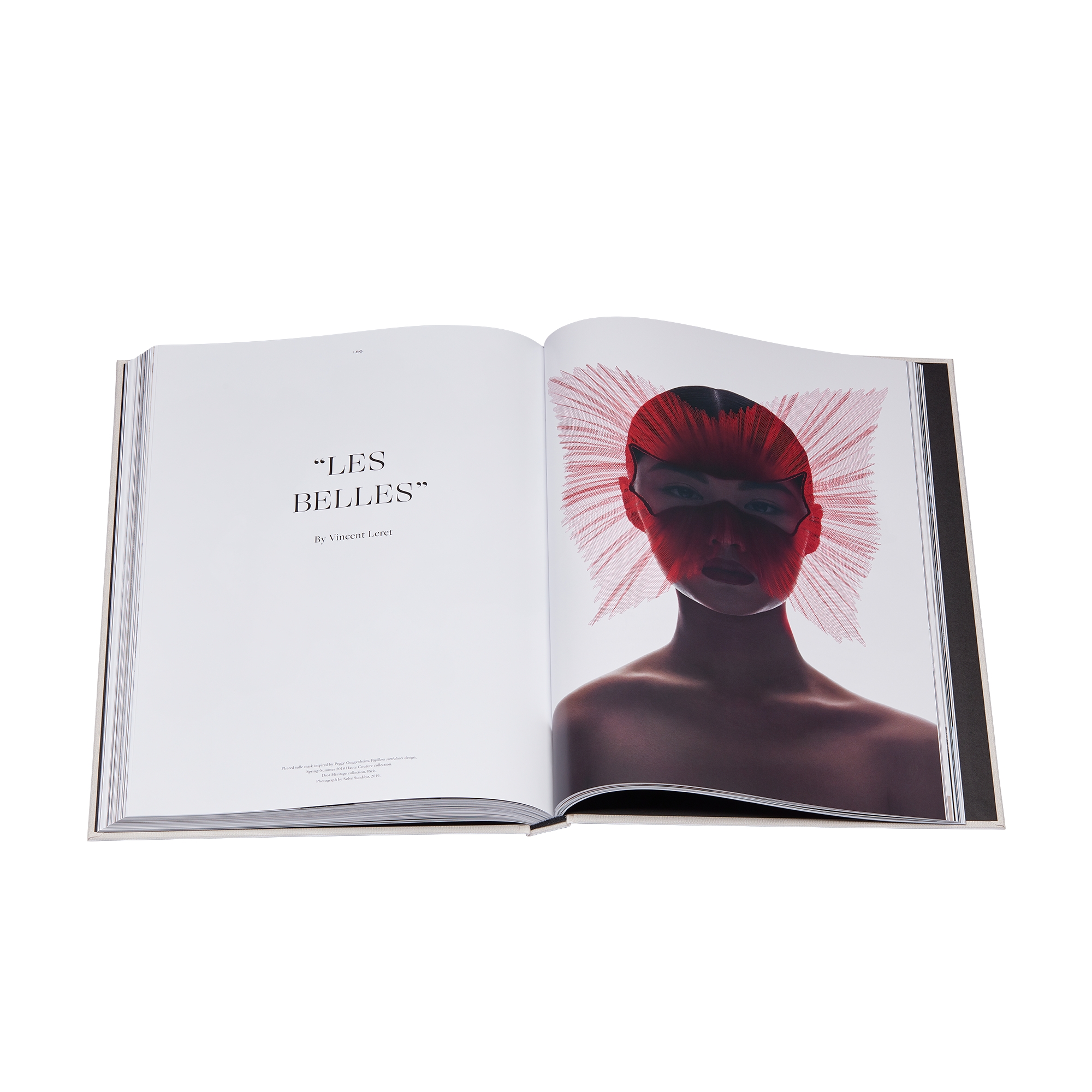 Libro: Dior Hats - From Christian Dior to Stephen Jones Versión en inglés E12