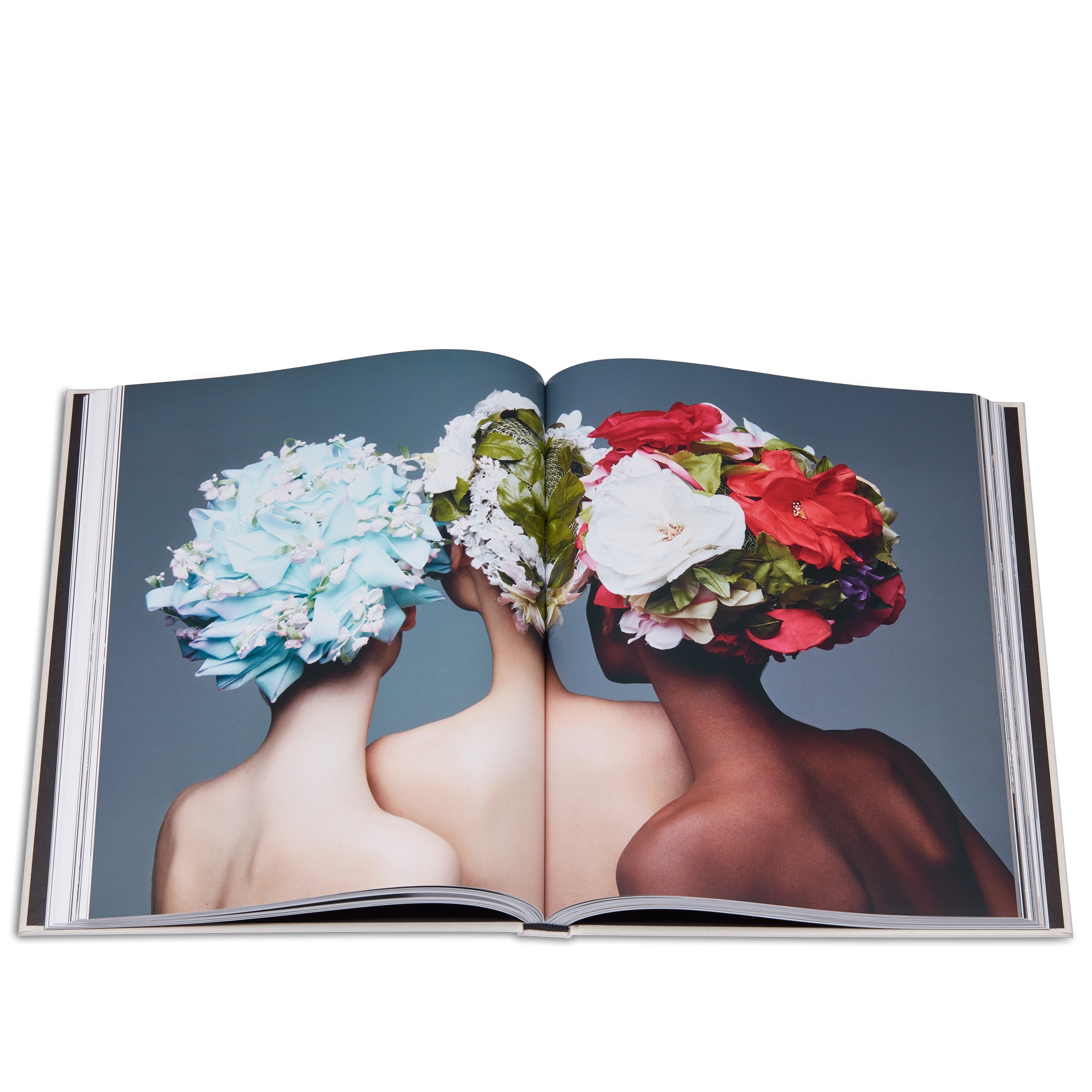 Libro: Chapeaux Dior! Versión en francés E10