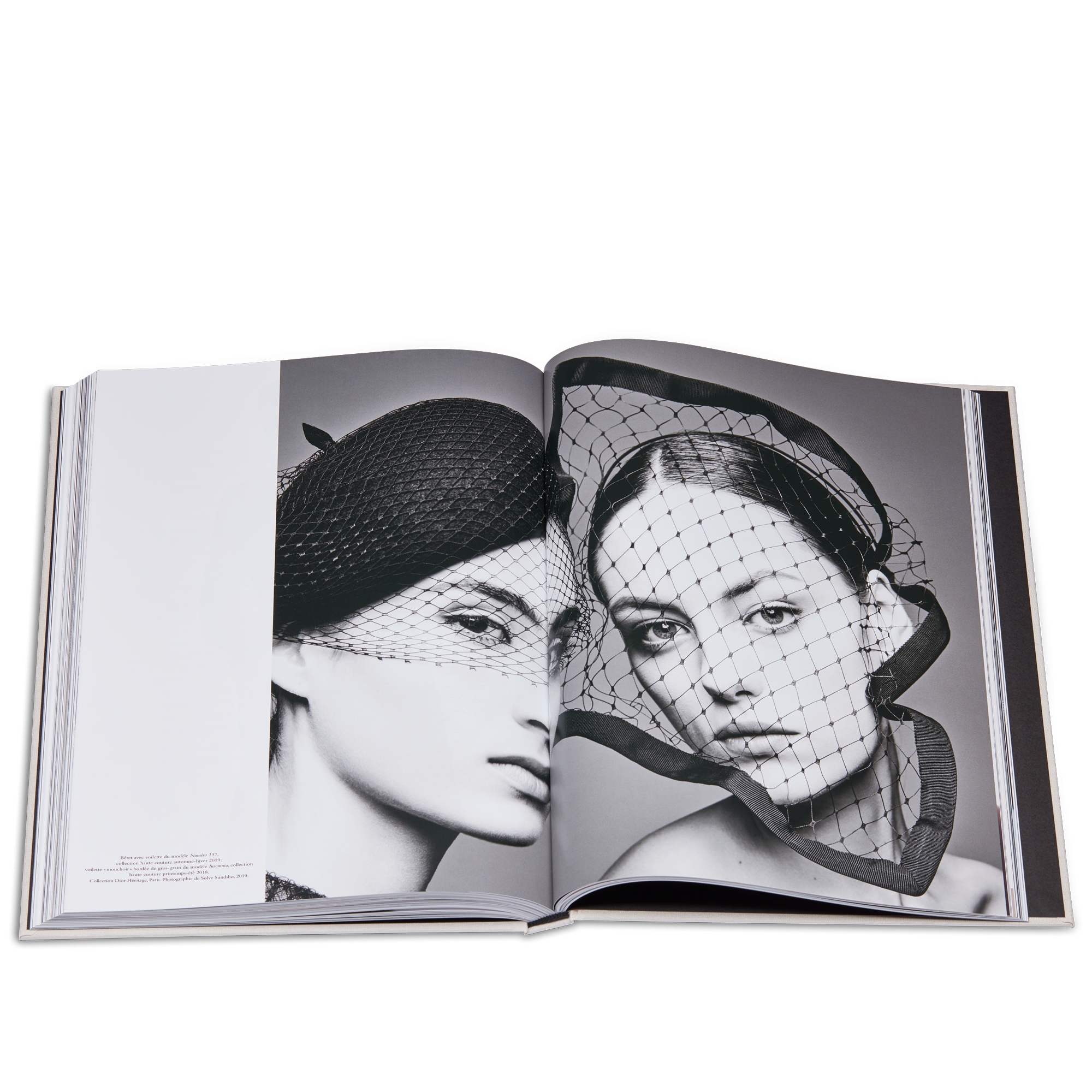 Libro: Chapeaux Dior! Versión en francés E11