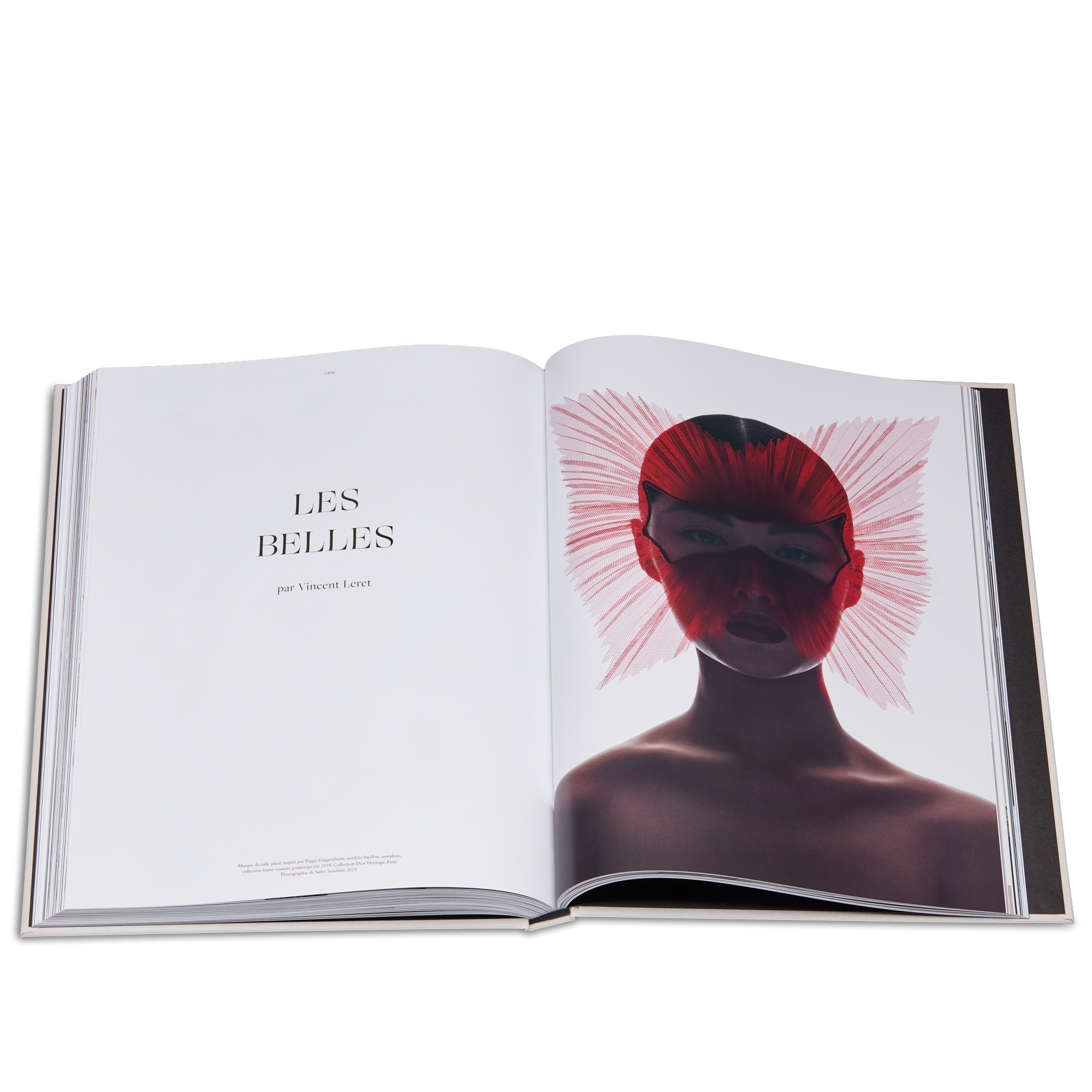 Libro: Chapeaux Dior! Versión en francés E12