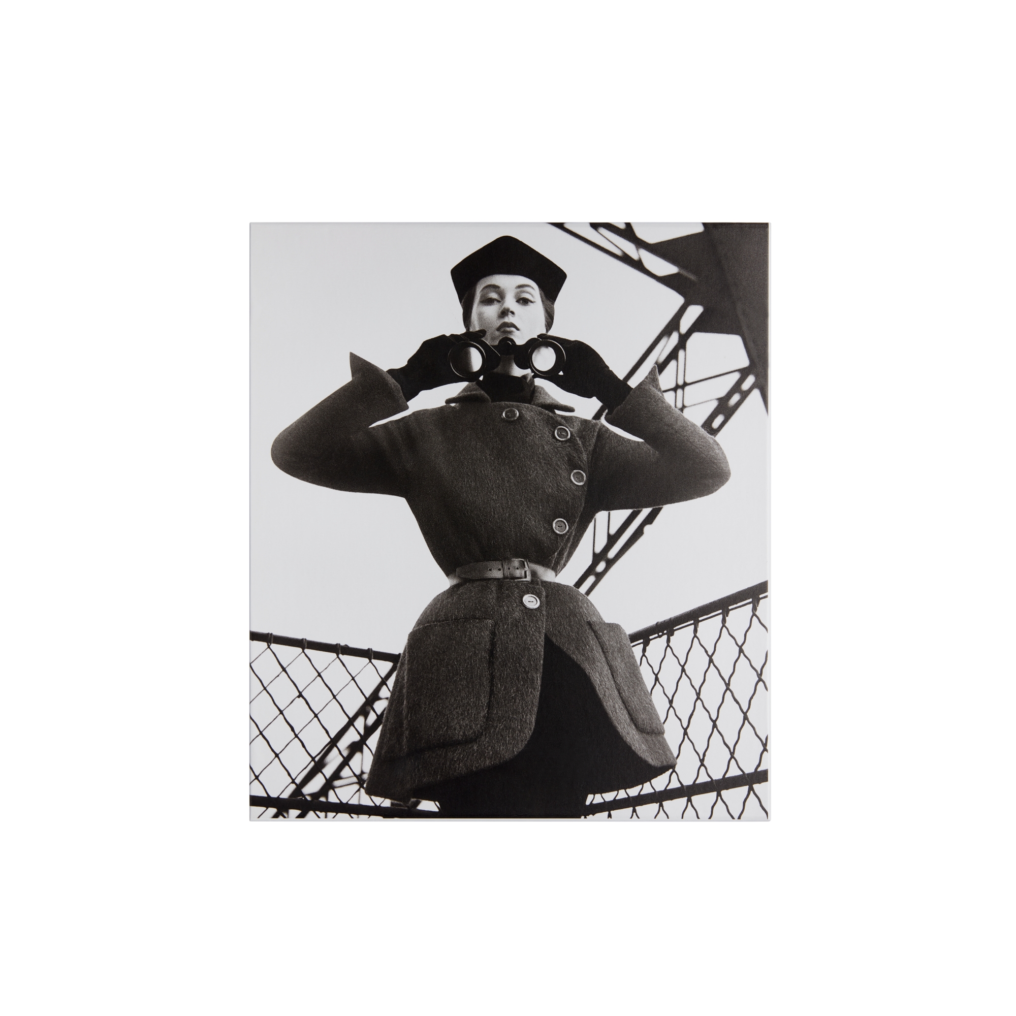 Boek: Dior by Avedon Engelstalige versie E08