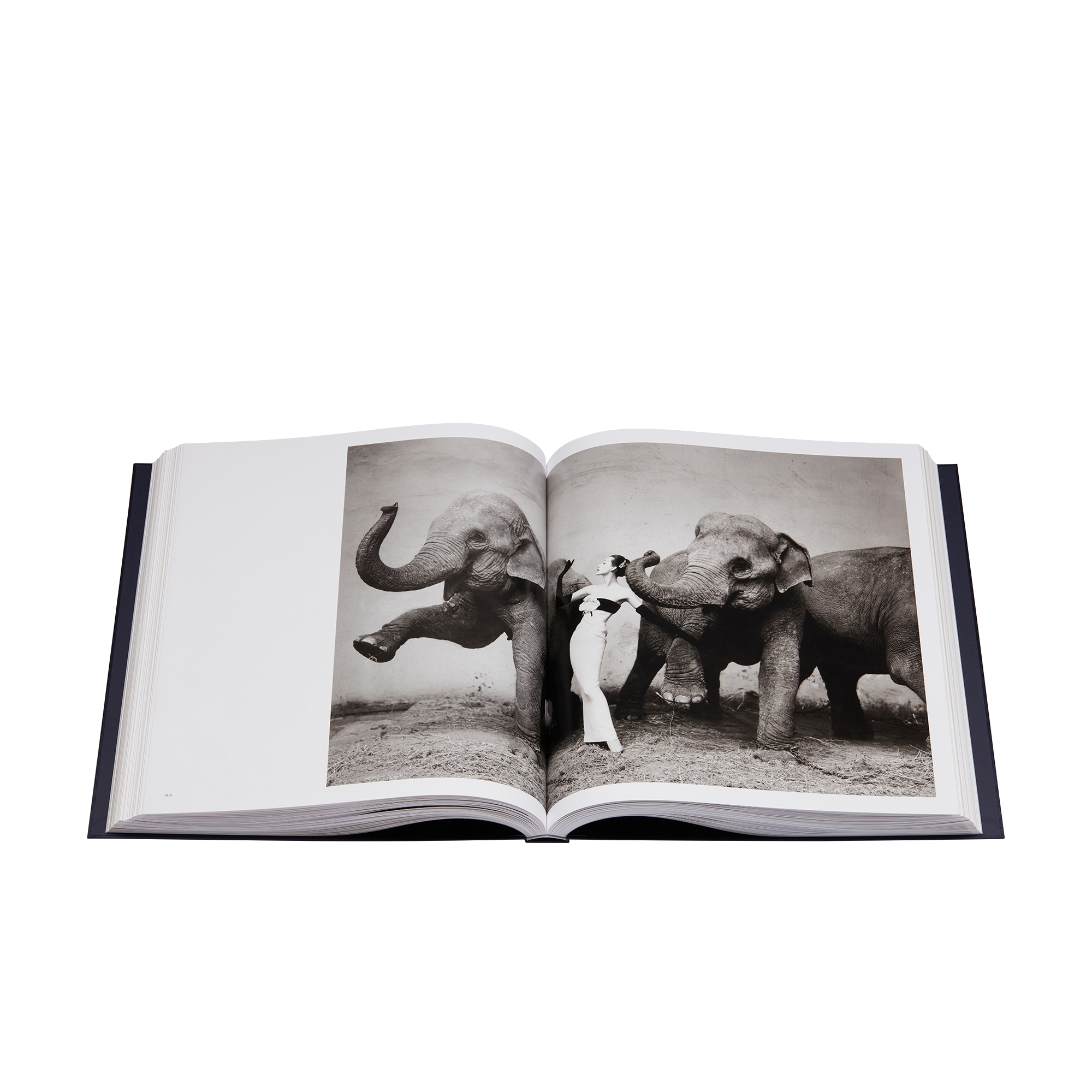 Book: Dior by Avedon