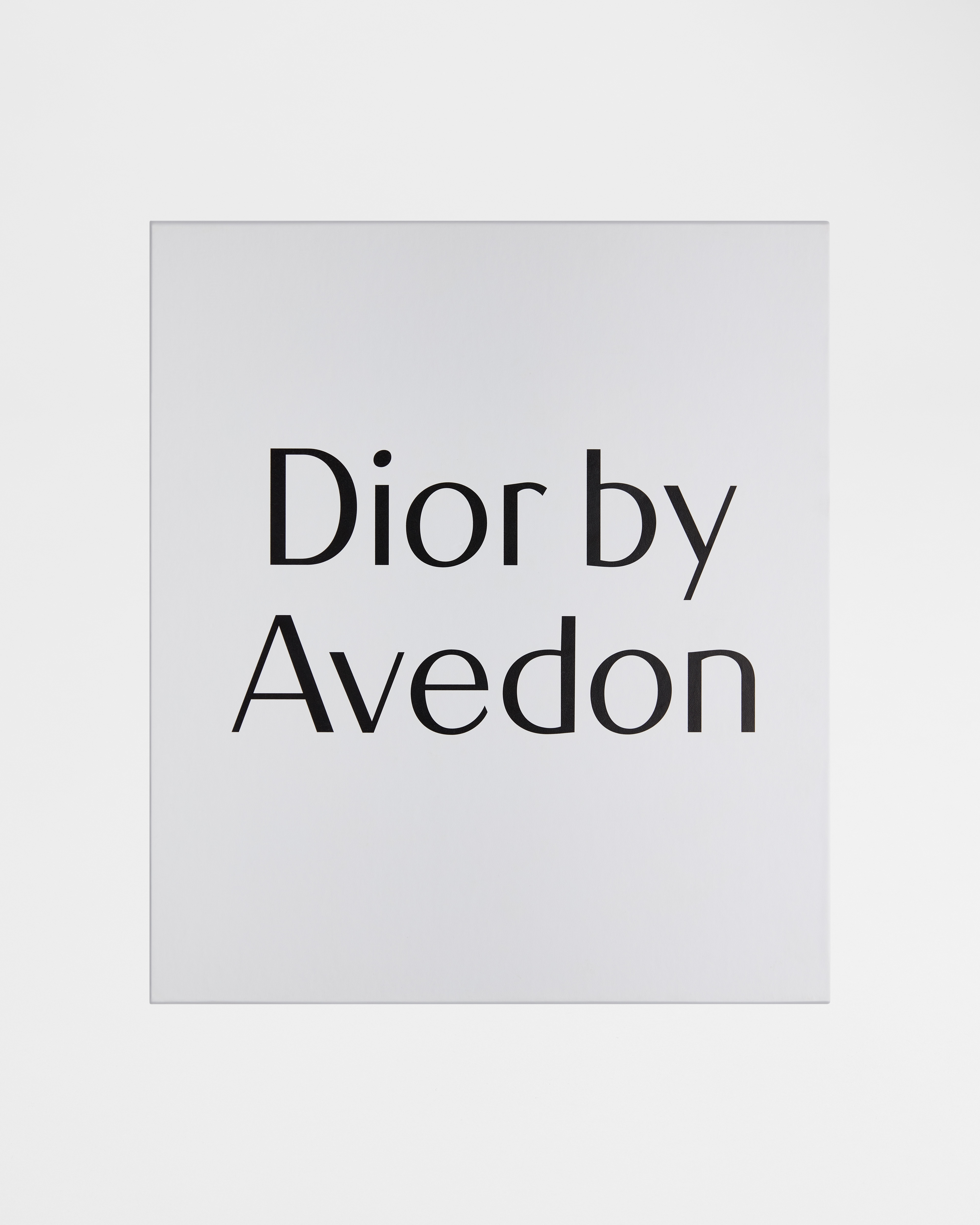 Buch: Dior by Avedon Englische Version E01
