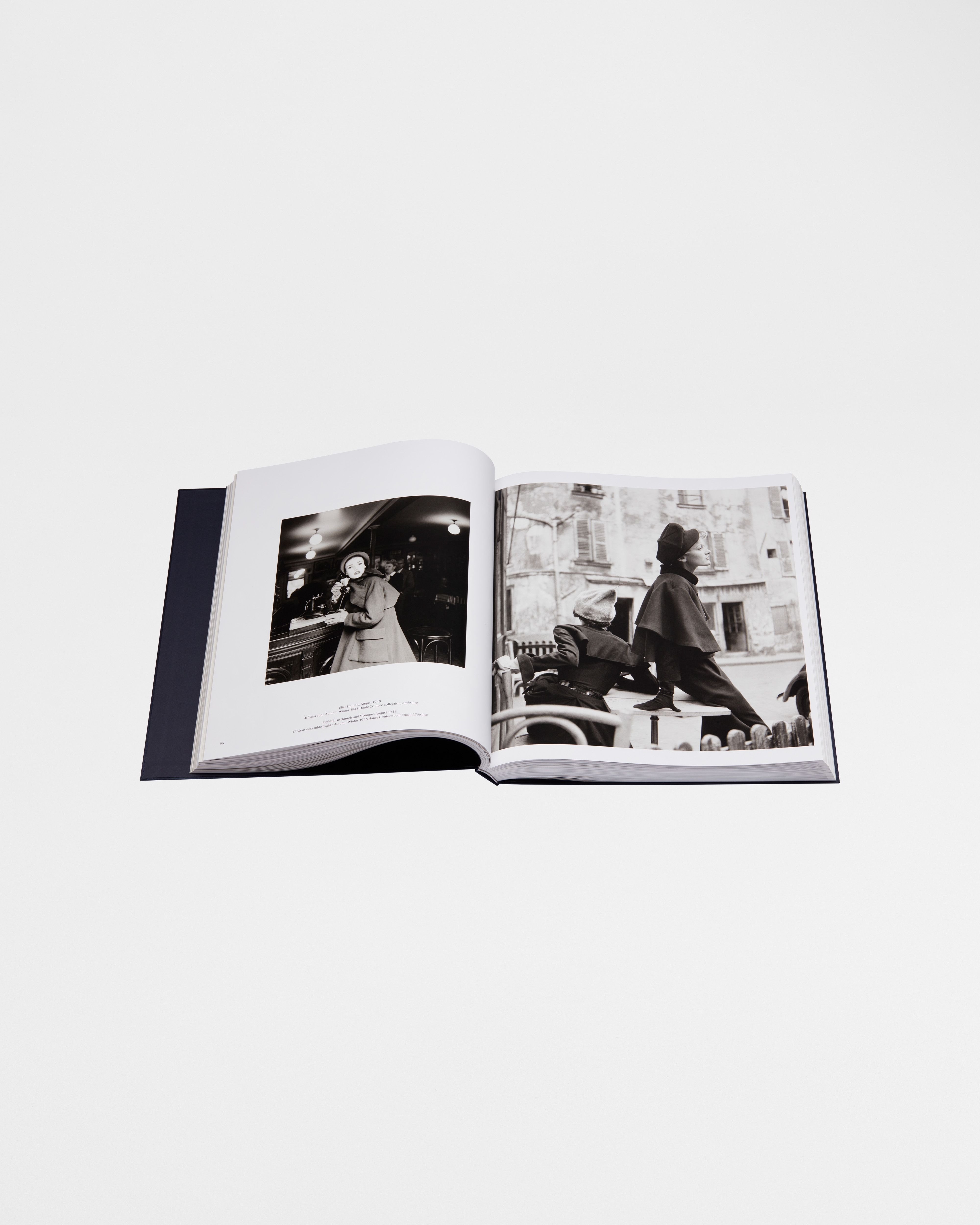 Boek: Dior by Avedon Engelstalige versie E10