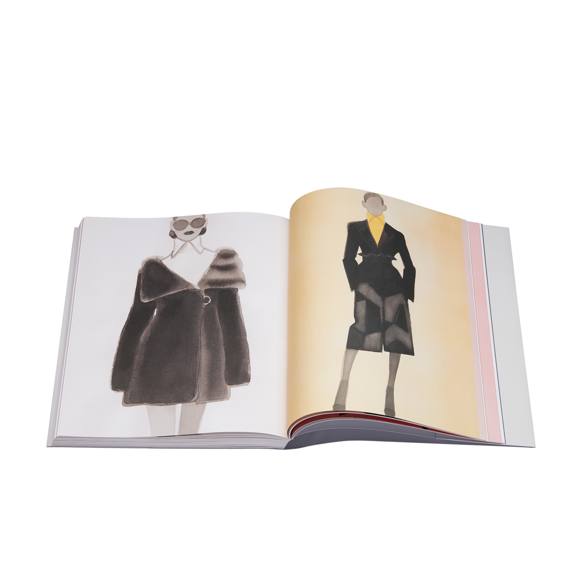 Libro: Dior par Mats Gustafson Versión en francés E11