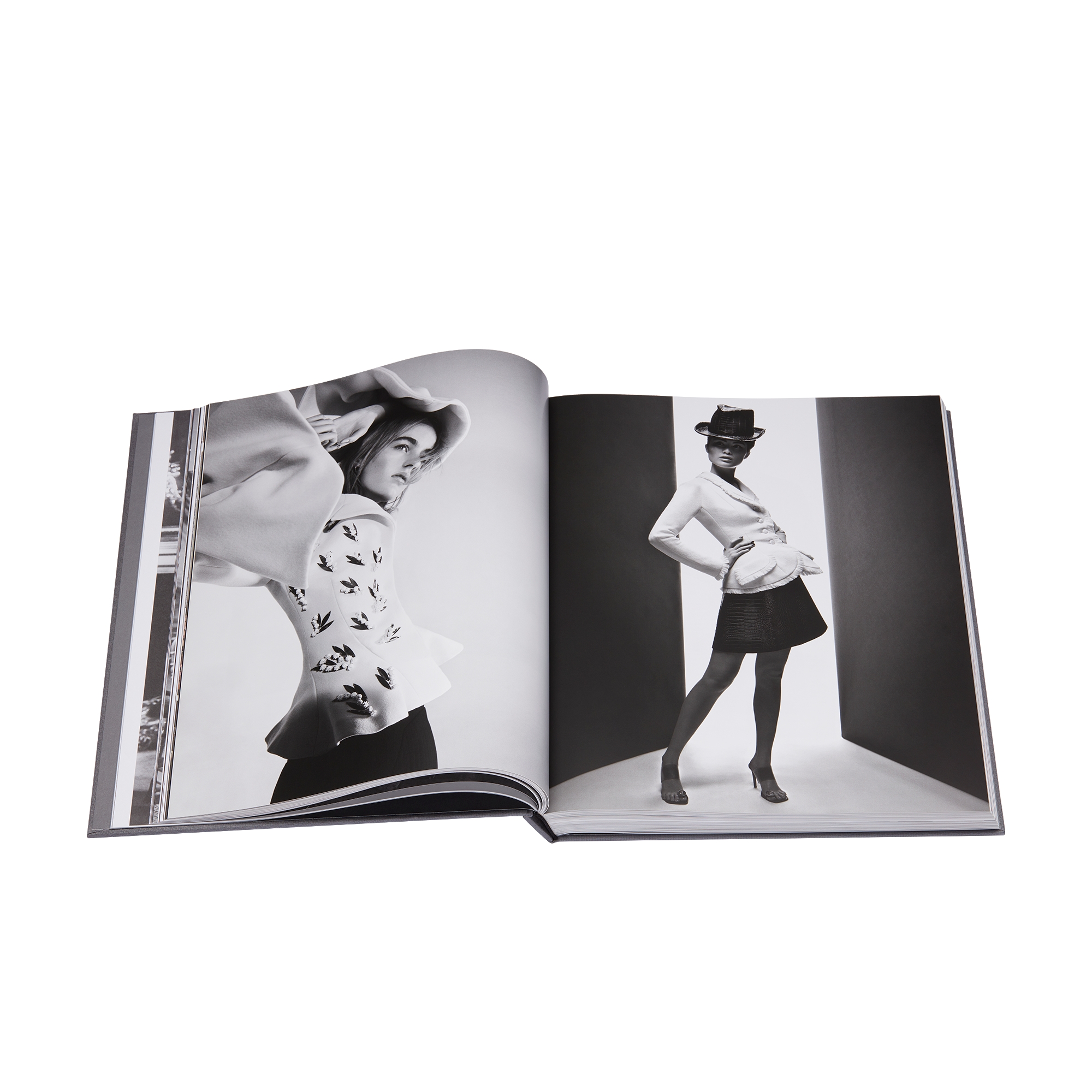 Book: Christian Dior – Designer of Dreams English Version E10