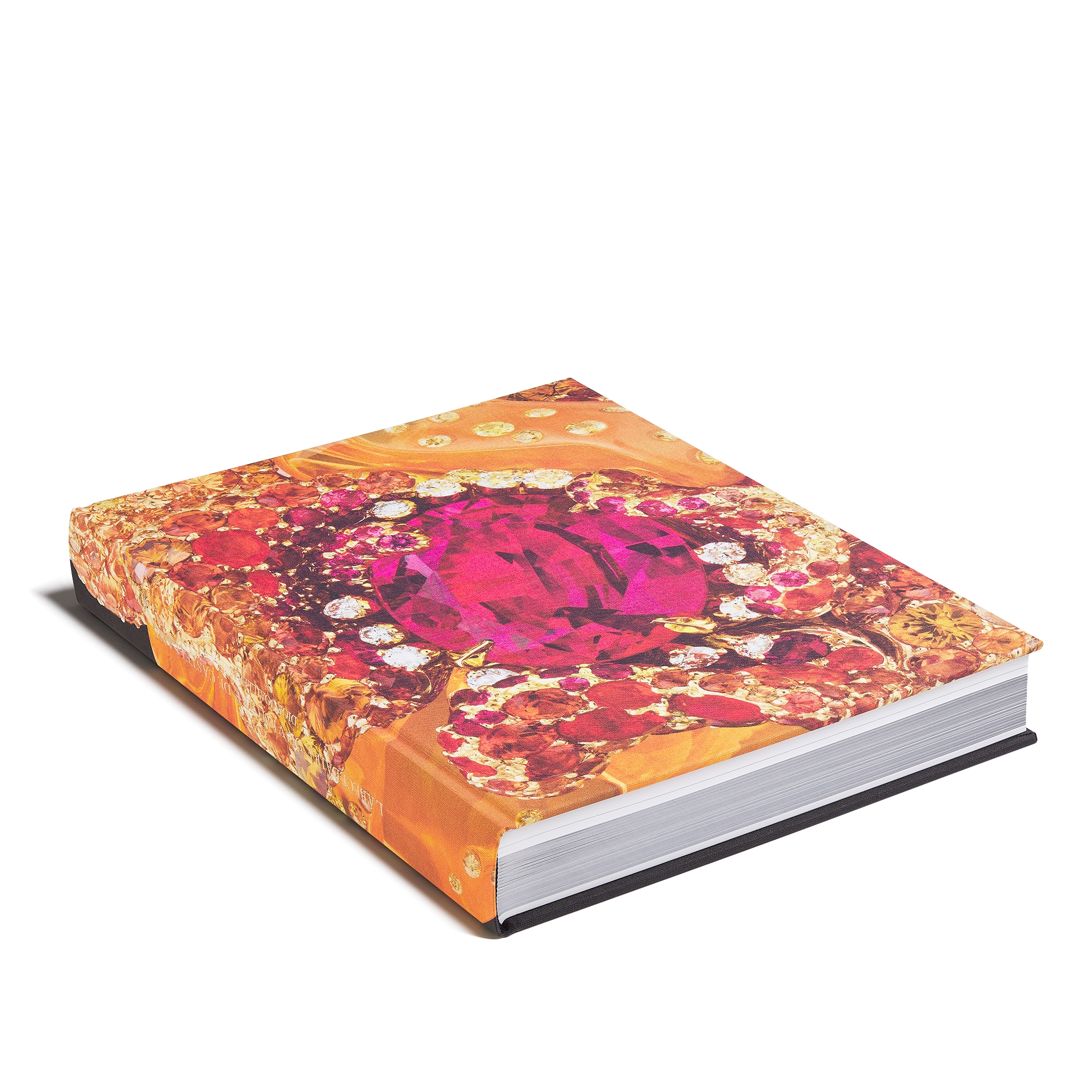 Book: Dior Joaillerie French Version E03