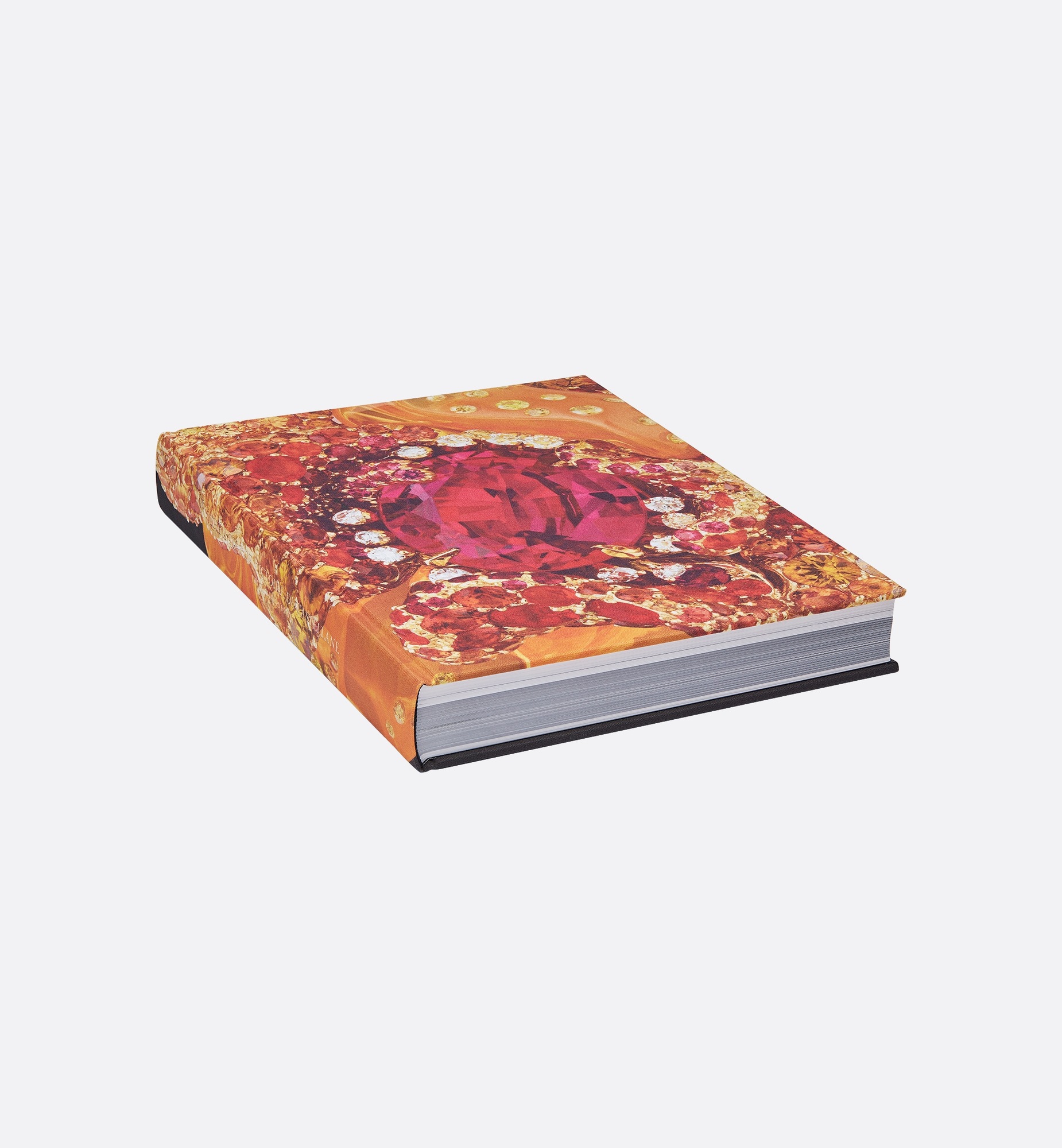 Book: Dior Joaillerie French Version E05