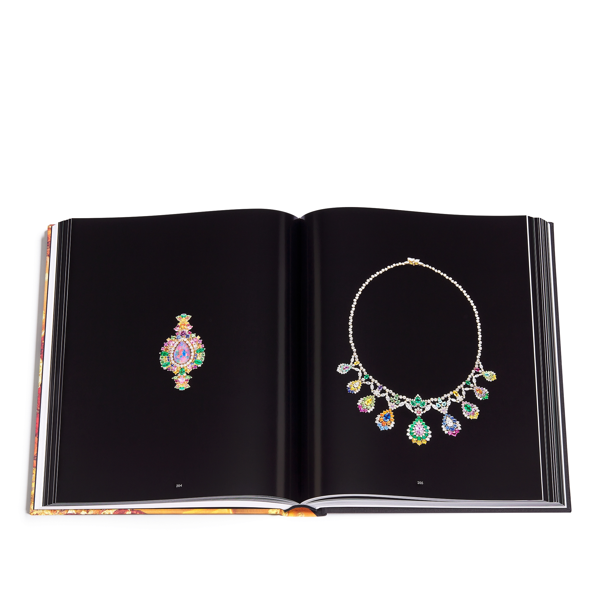 Book: Dior Joaillerie French Version E10