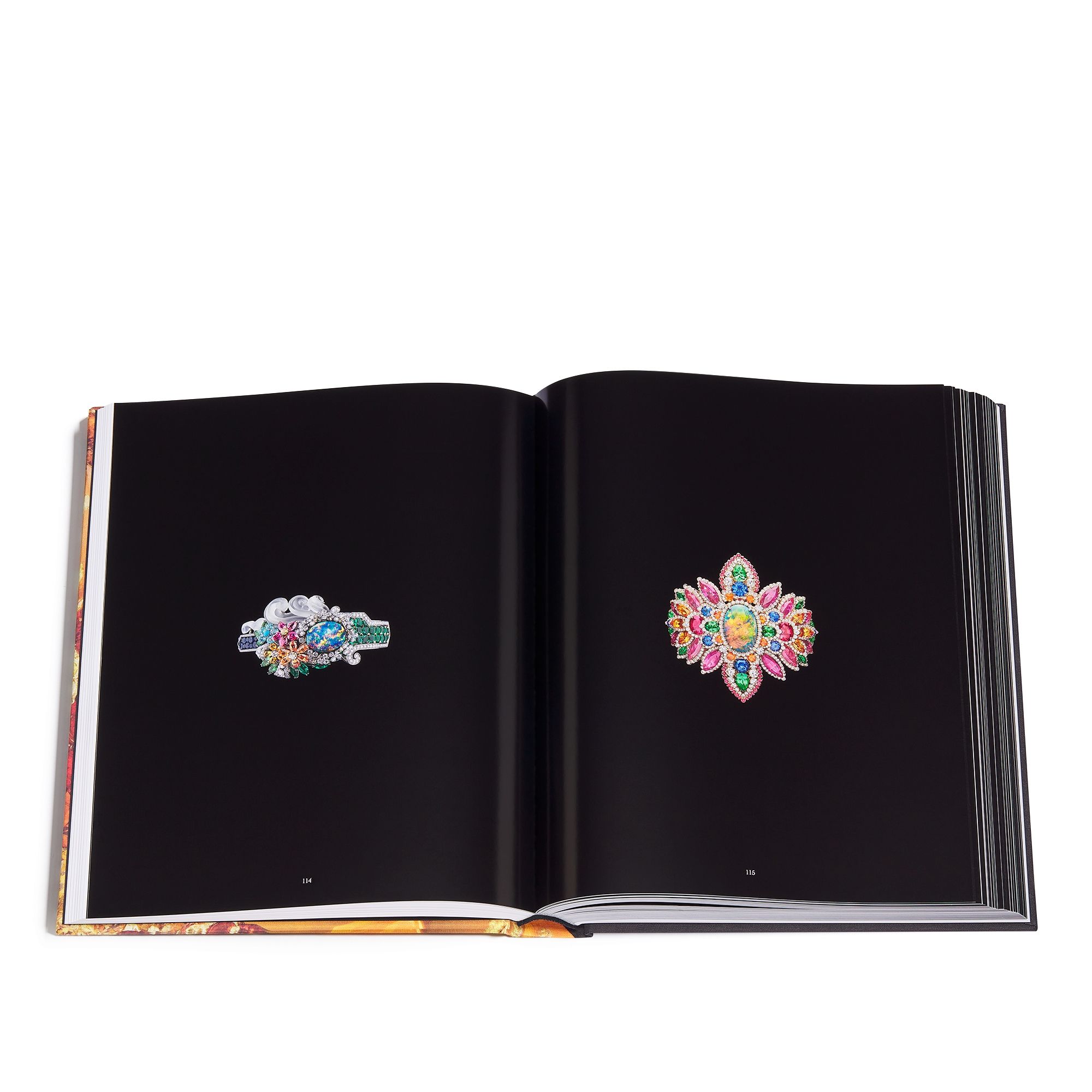 Book: Dior Joaillerie French Version E11