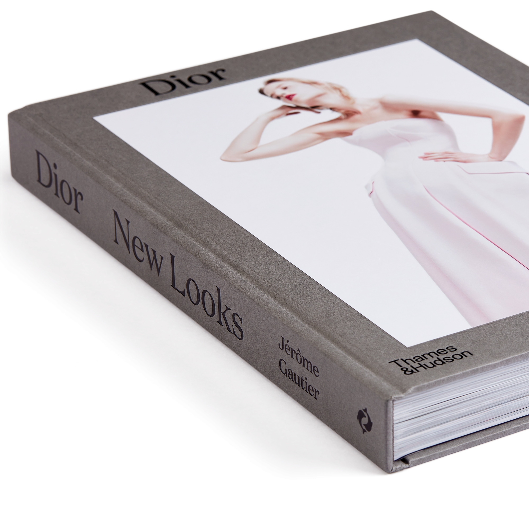 Book: Dior New Looks English Version E10