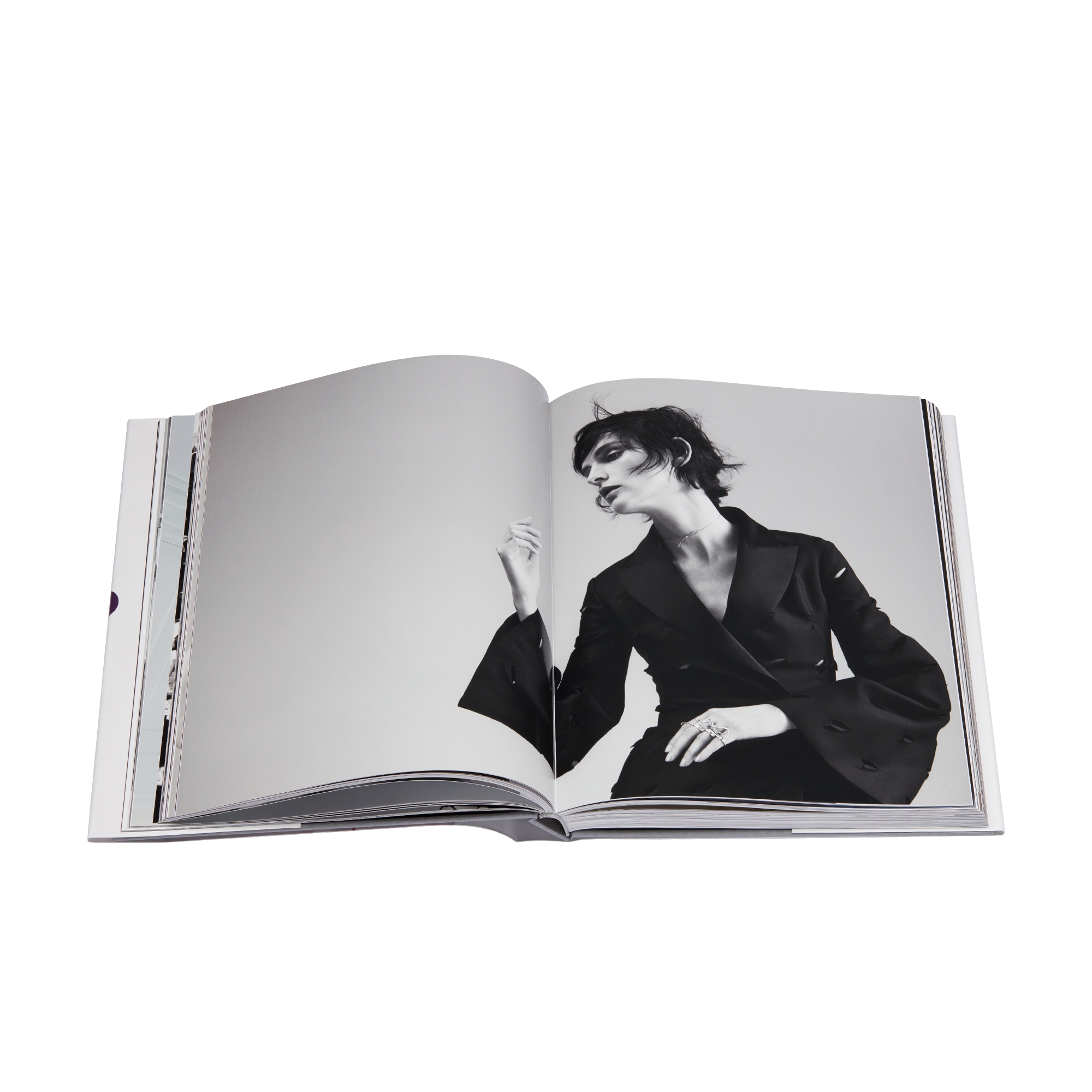 Livre : Dior New Looks Version française E10