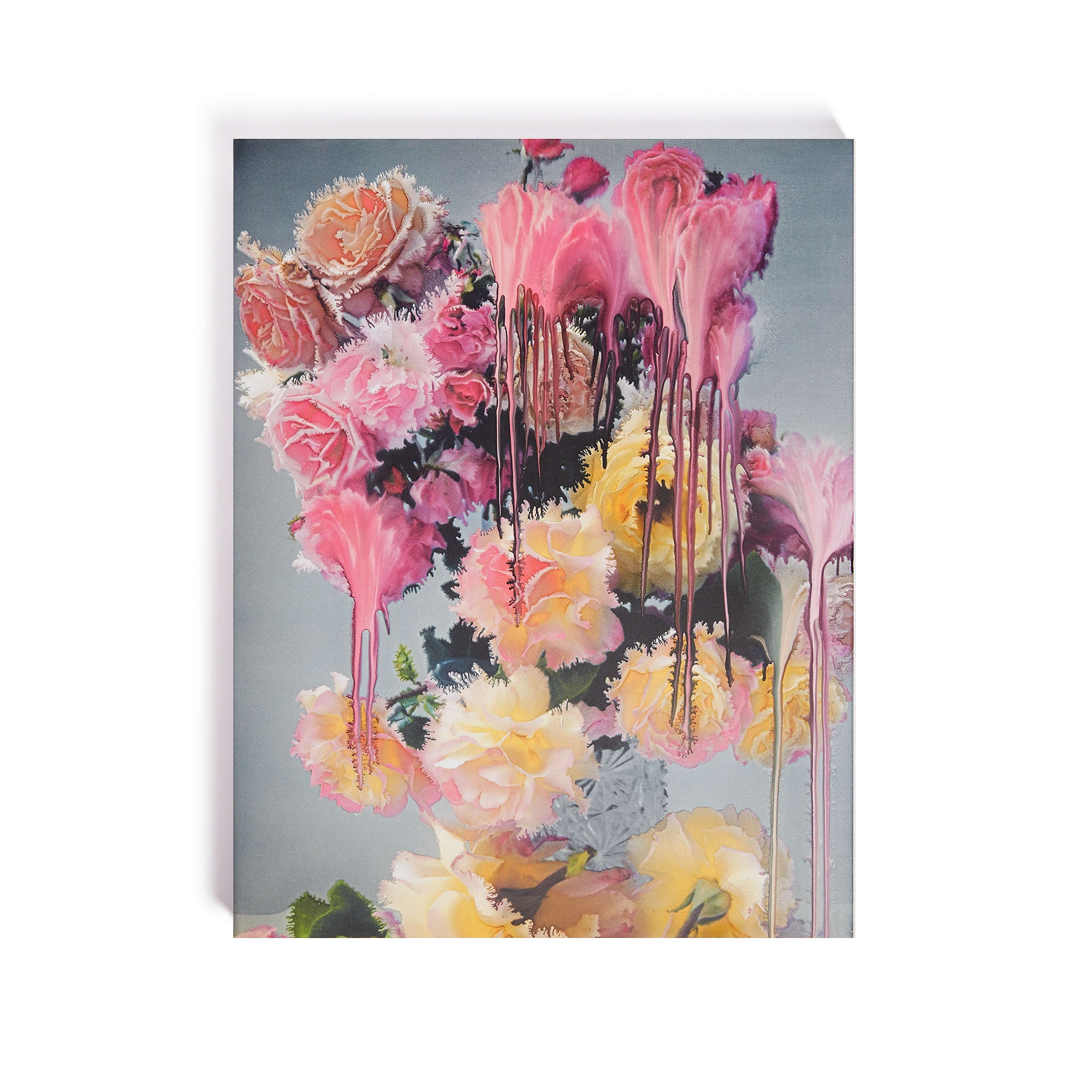 책: Dior in Bloom 영어 버전 E08