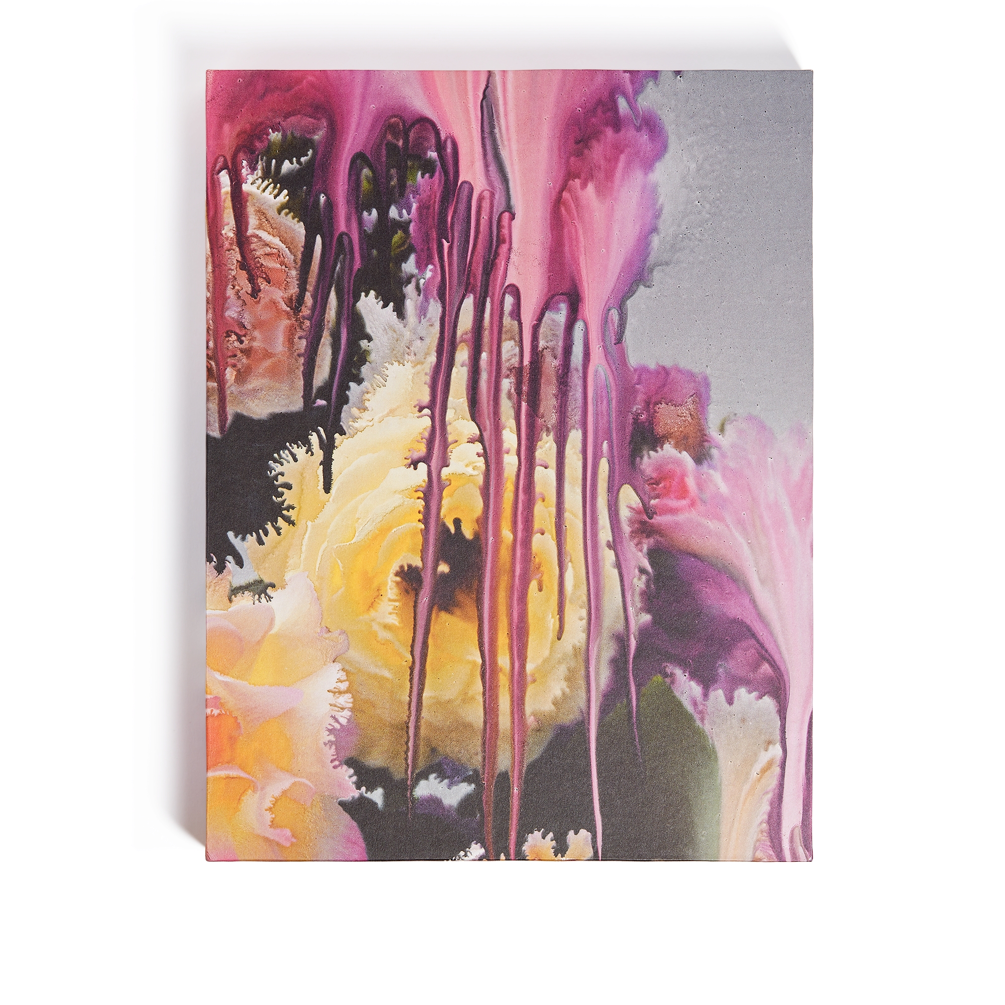 책: Dior in Bloom 영어 버전 E10