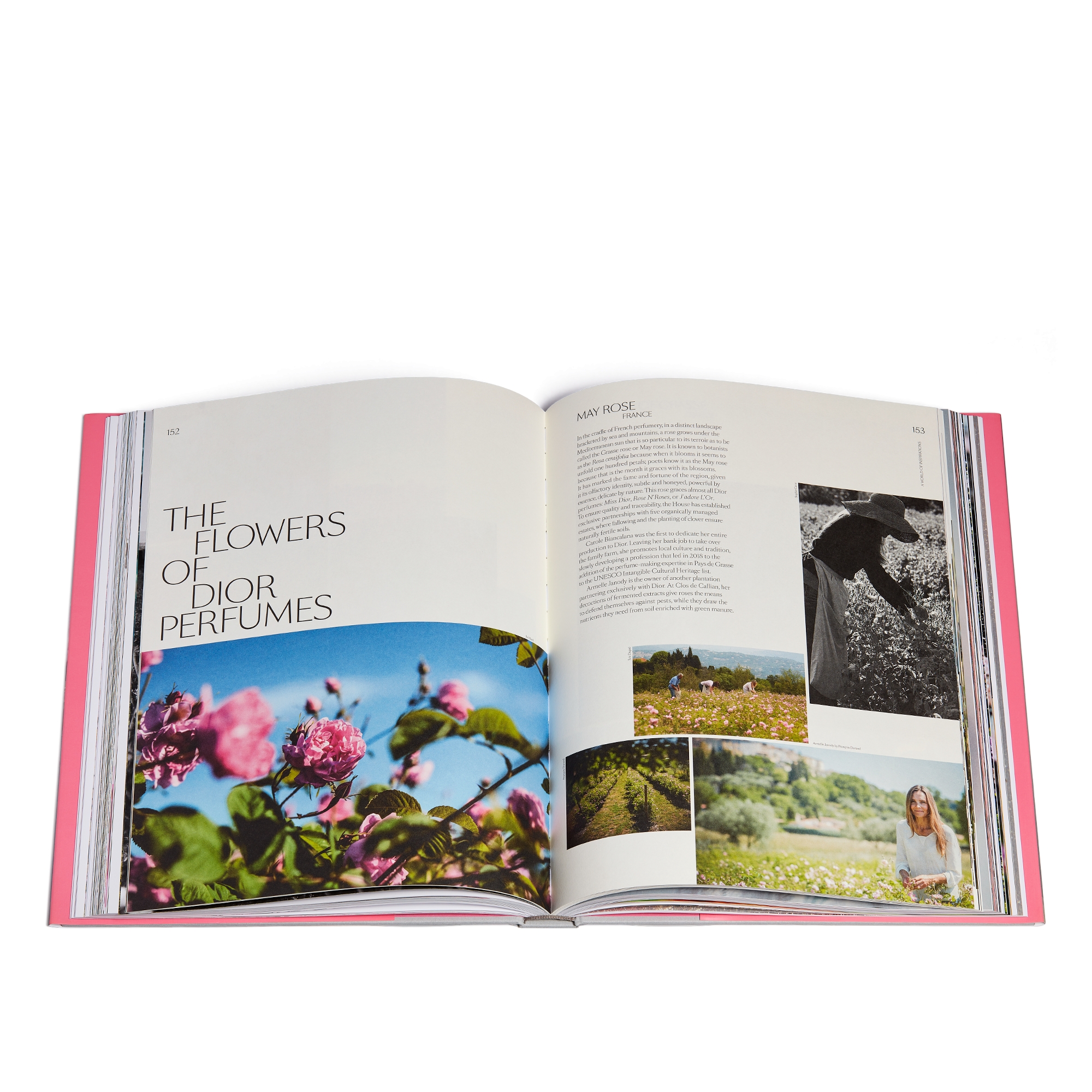 Livre : Dior in Bloom Version anglaise E14