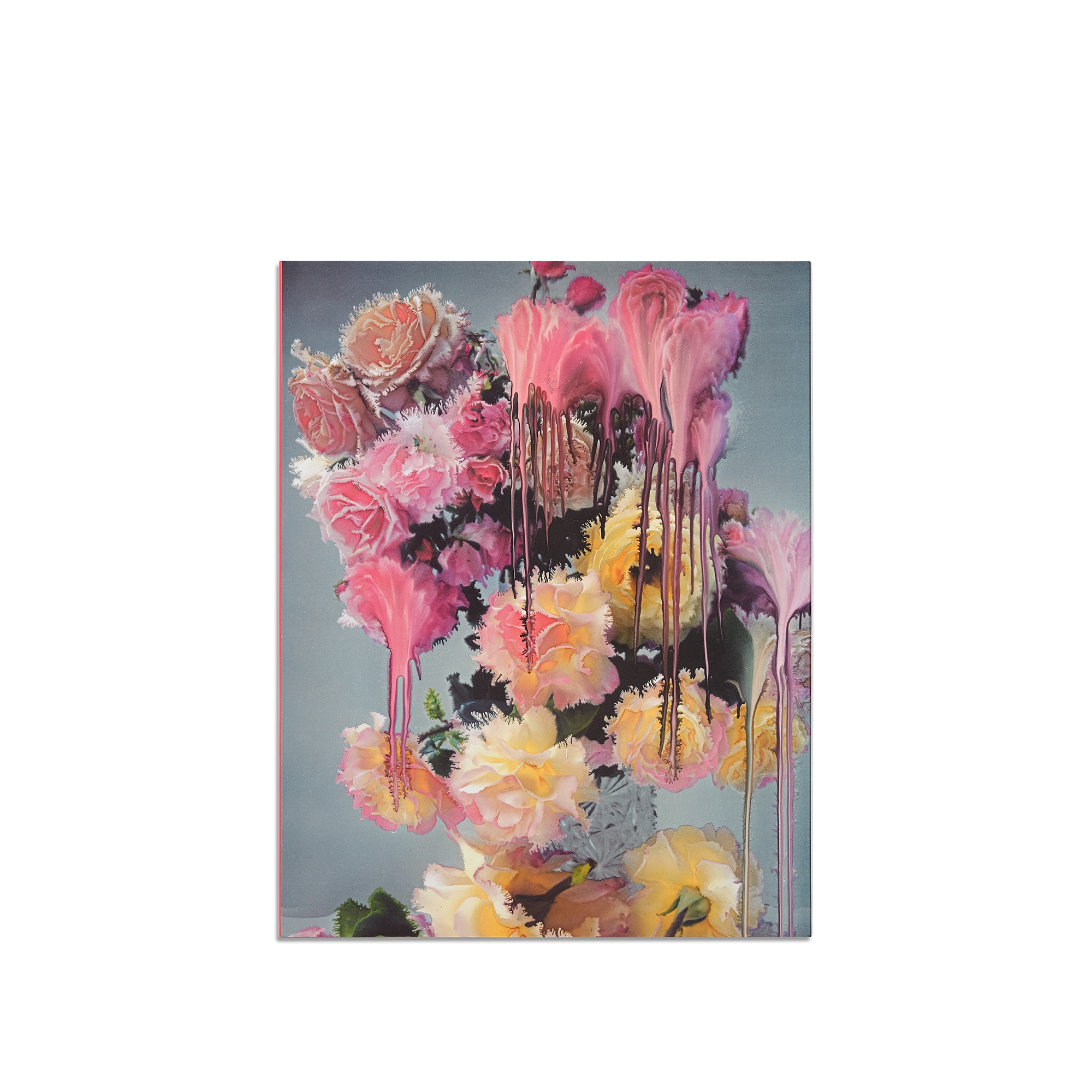 Book: Dior, par amour des fleurs French Version E08