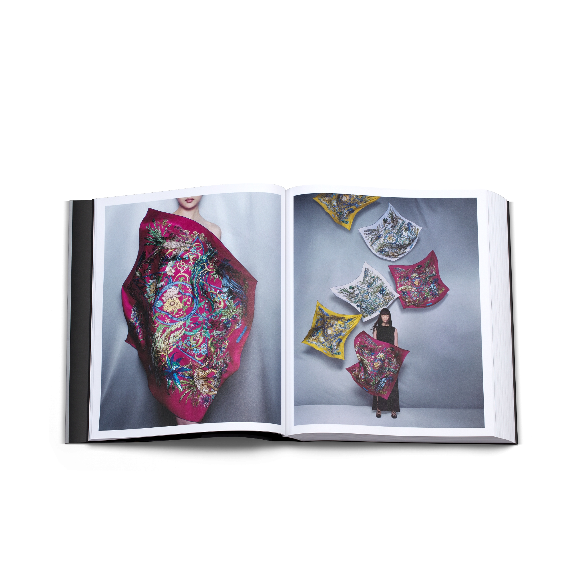 Book: Dior Scarves. Fashion Stories