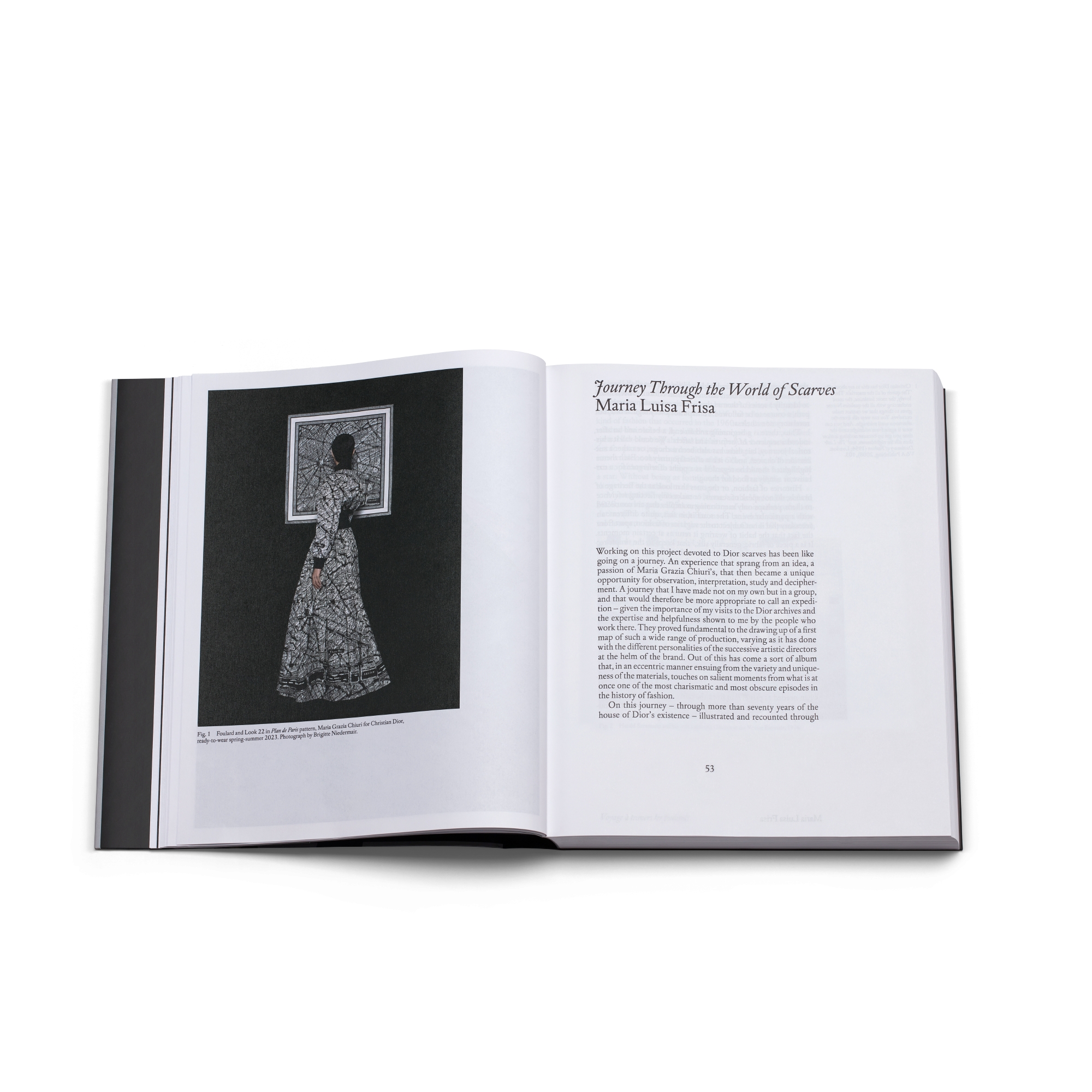 Book: Dior Scarves. Fashion Stories