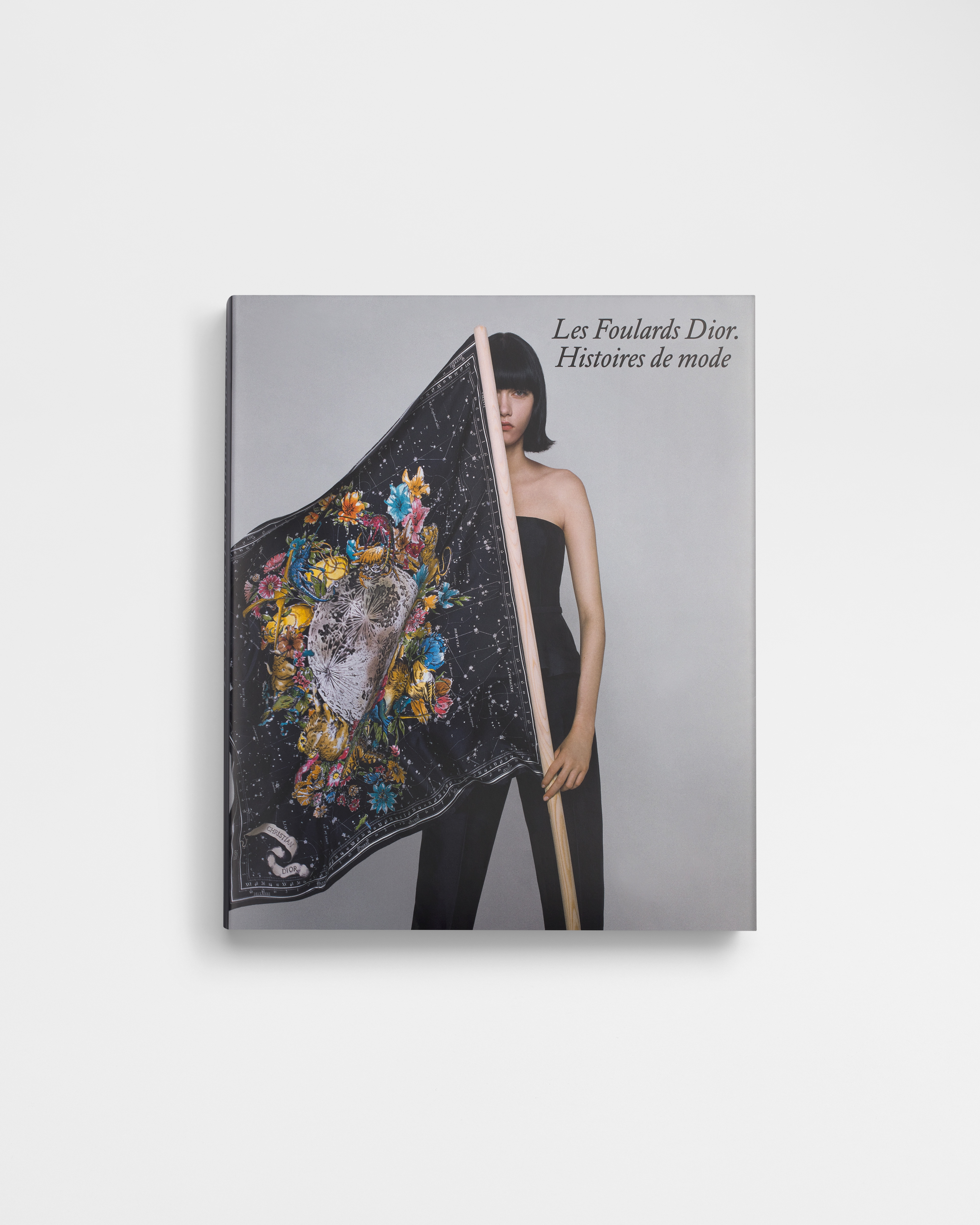 Buch: Les Foulards Dior. Histoires de mode Französische Version E01