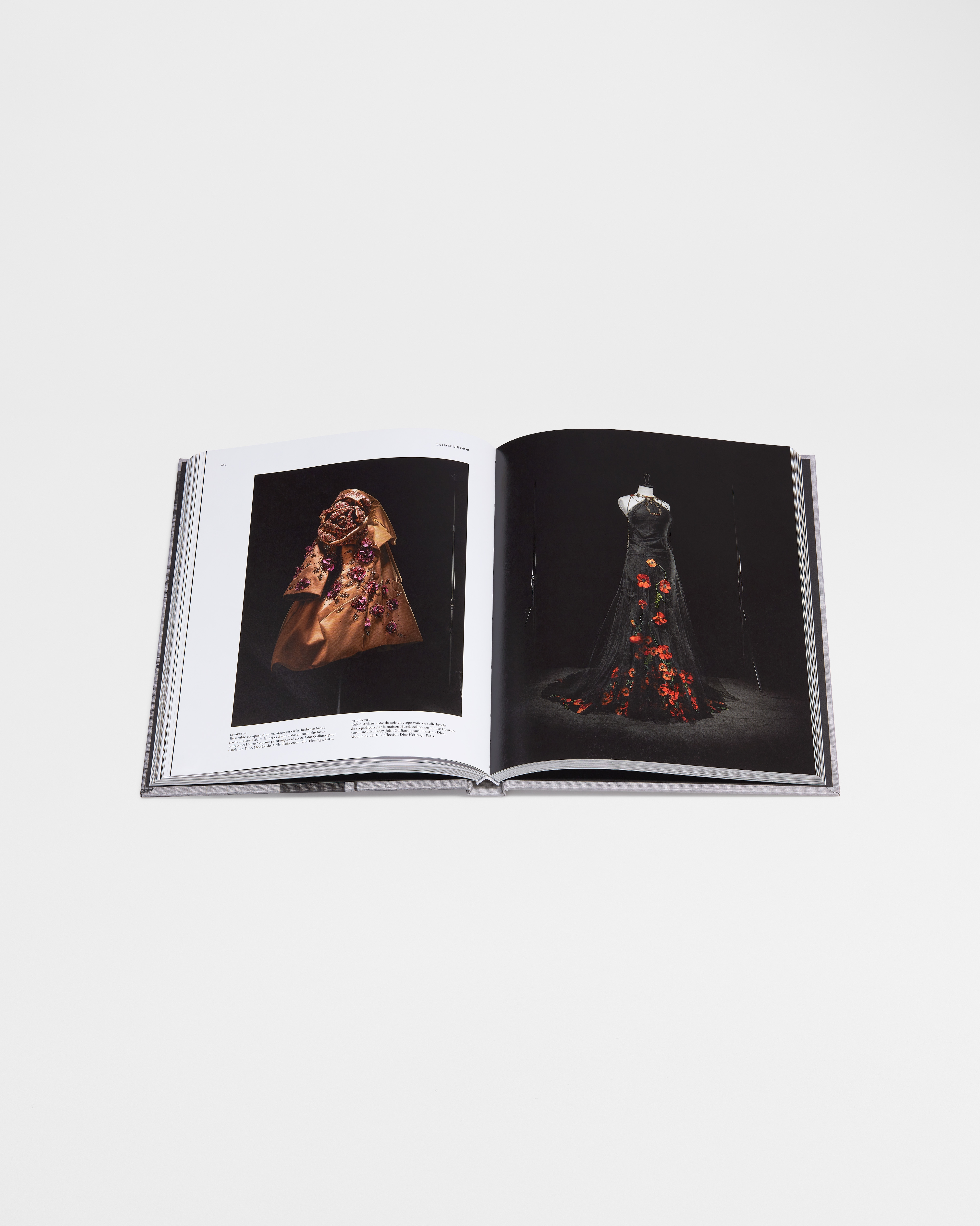 Boek: Dior, La Légende du 30 Avenue Montaigne Franstalige versie E10