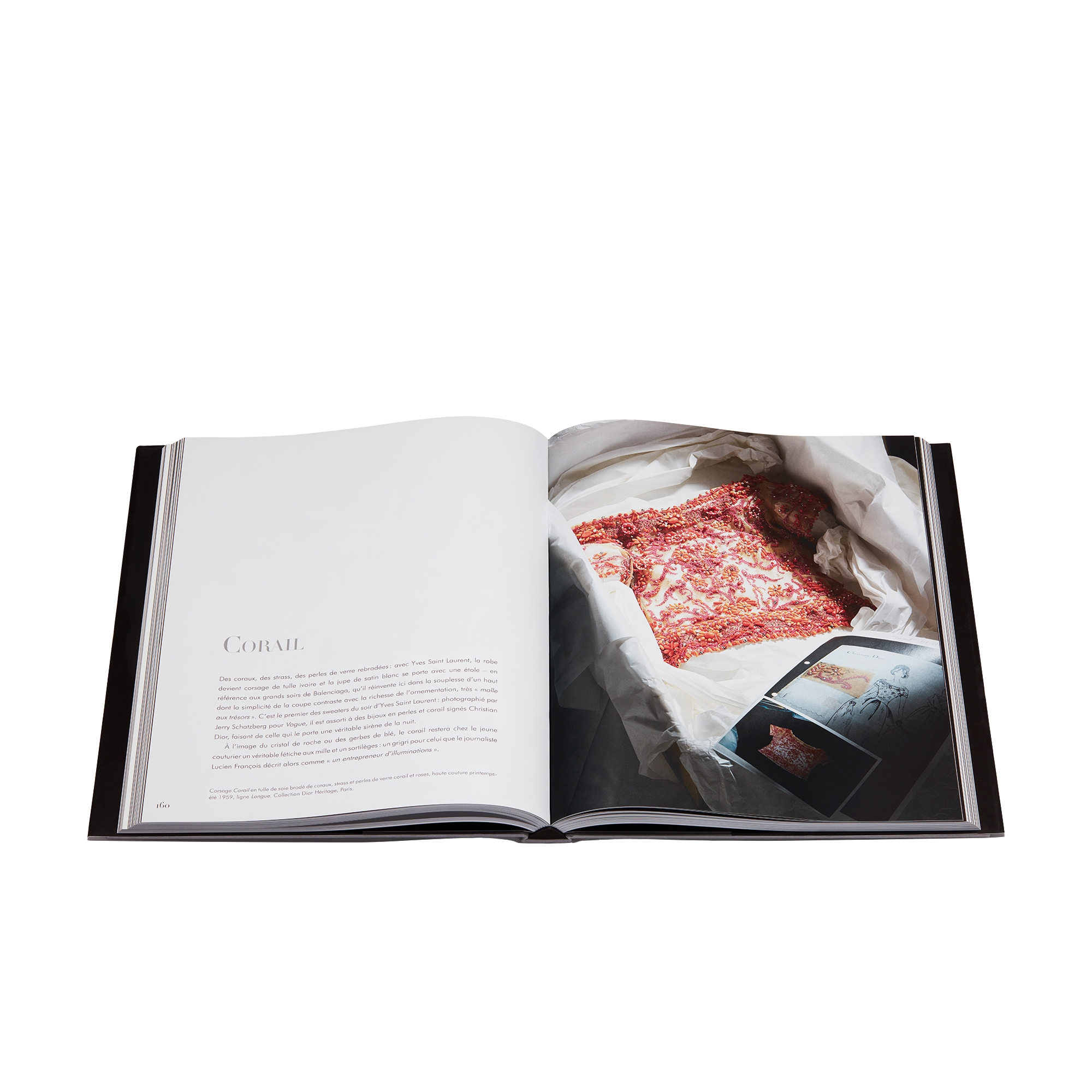 Book: Dior by Yves Saint Laurent French Version E10