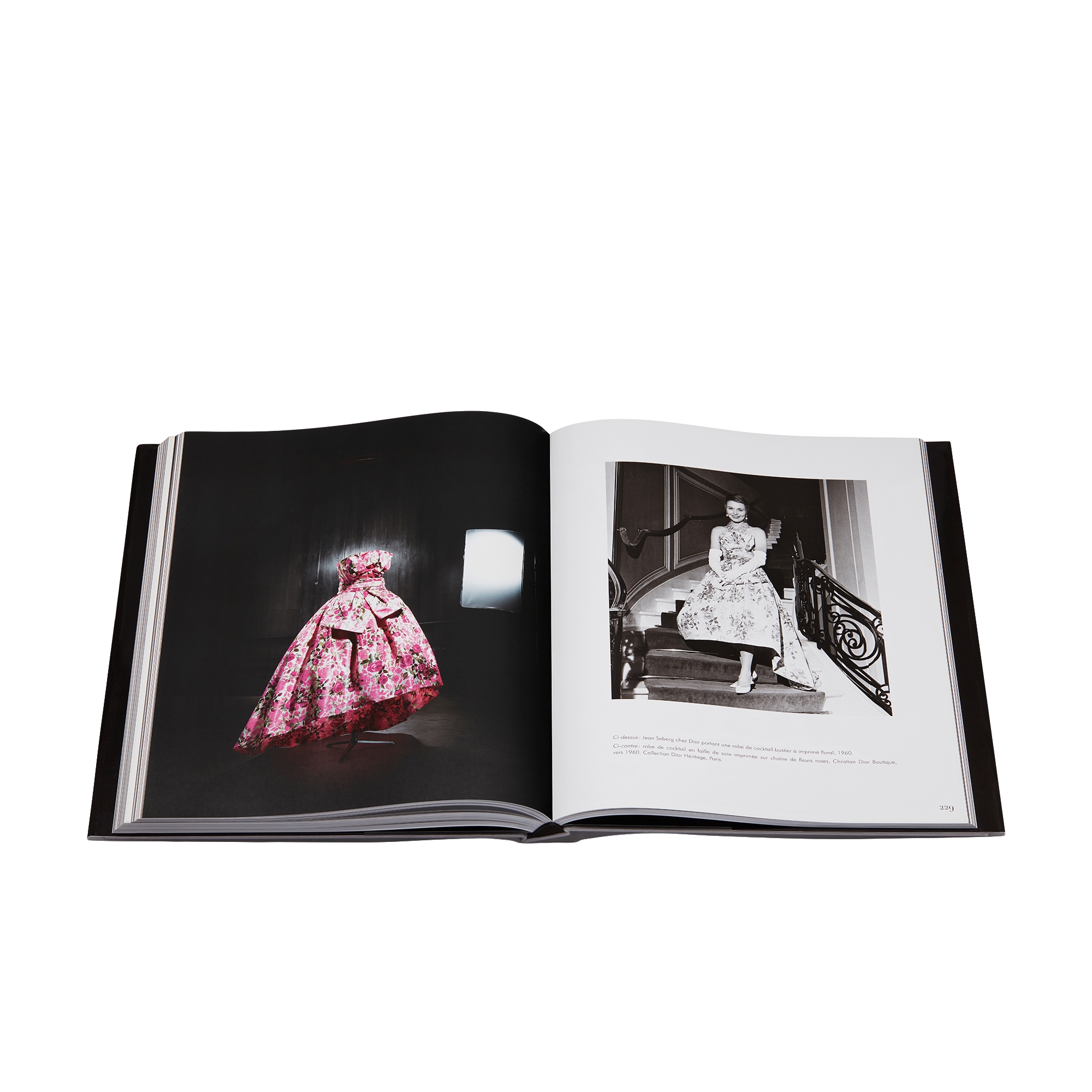 Book: Dior by Yves Saint Laurent French Version E11