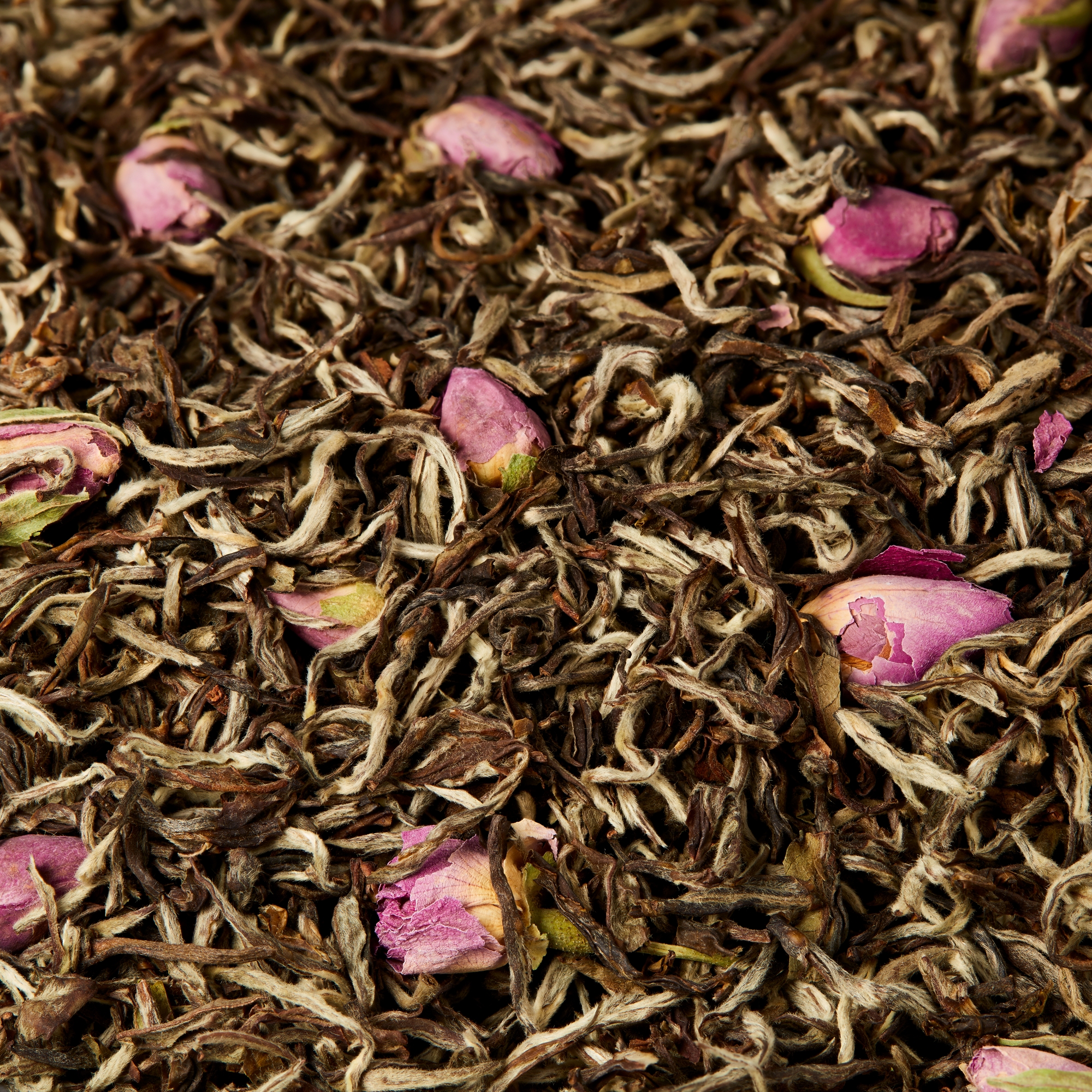 Montaigne ティー キャニスター ローズ & ジャスミン フレーバー ホワイトティー E09