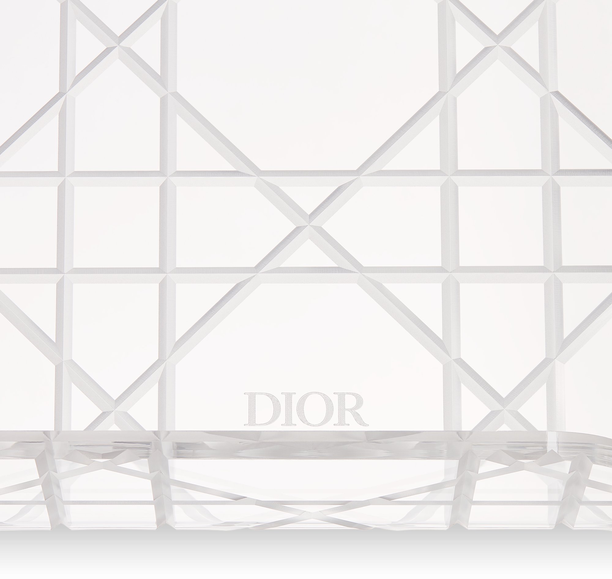 DIOR トレーカナージュ