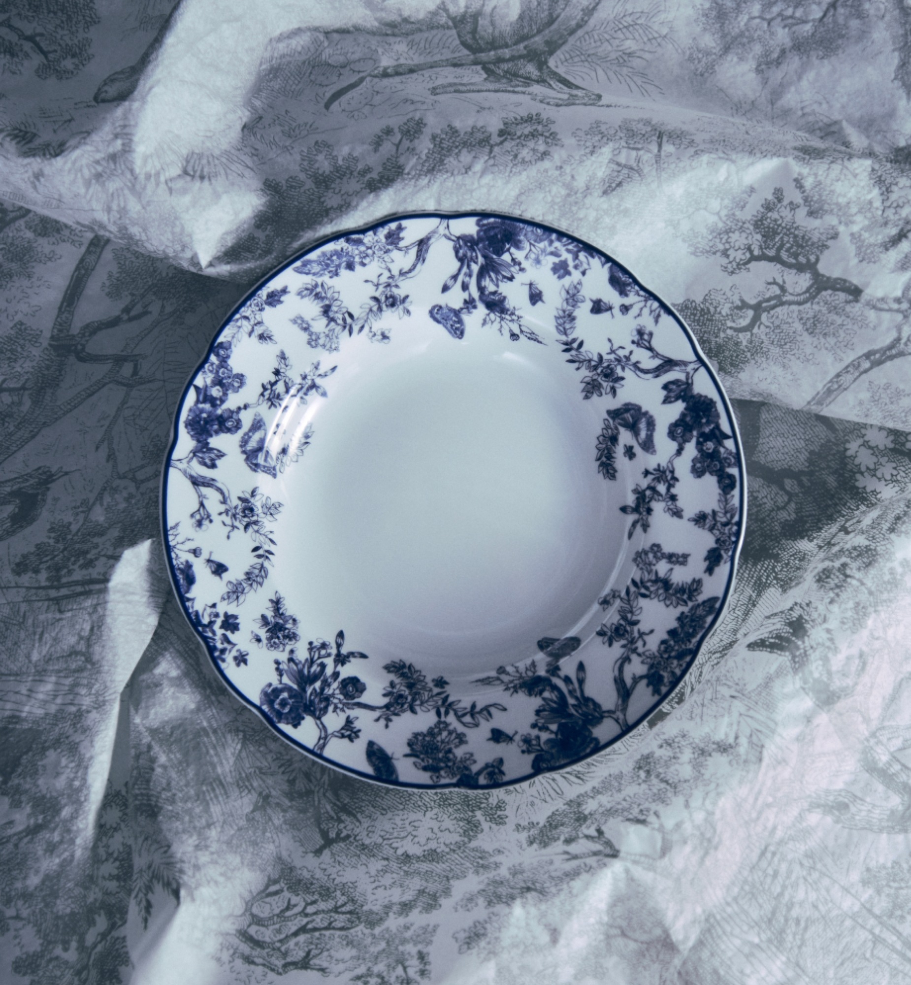 Soup Plate