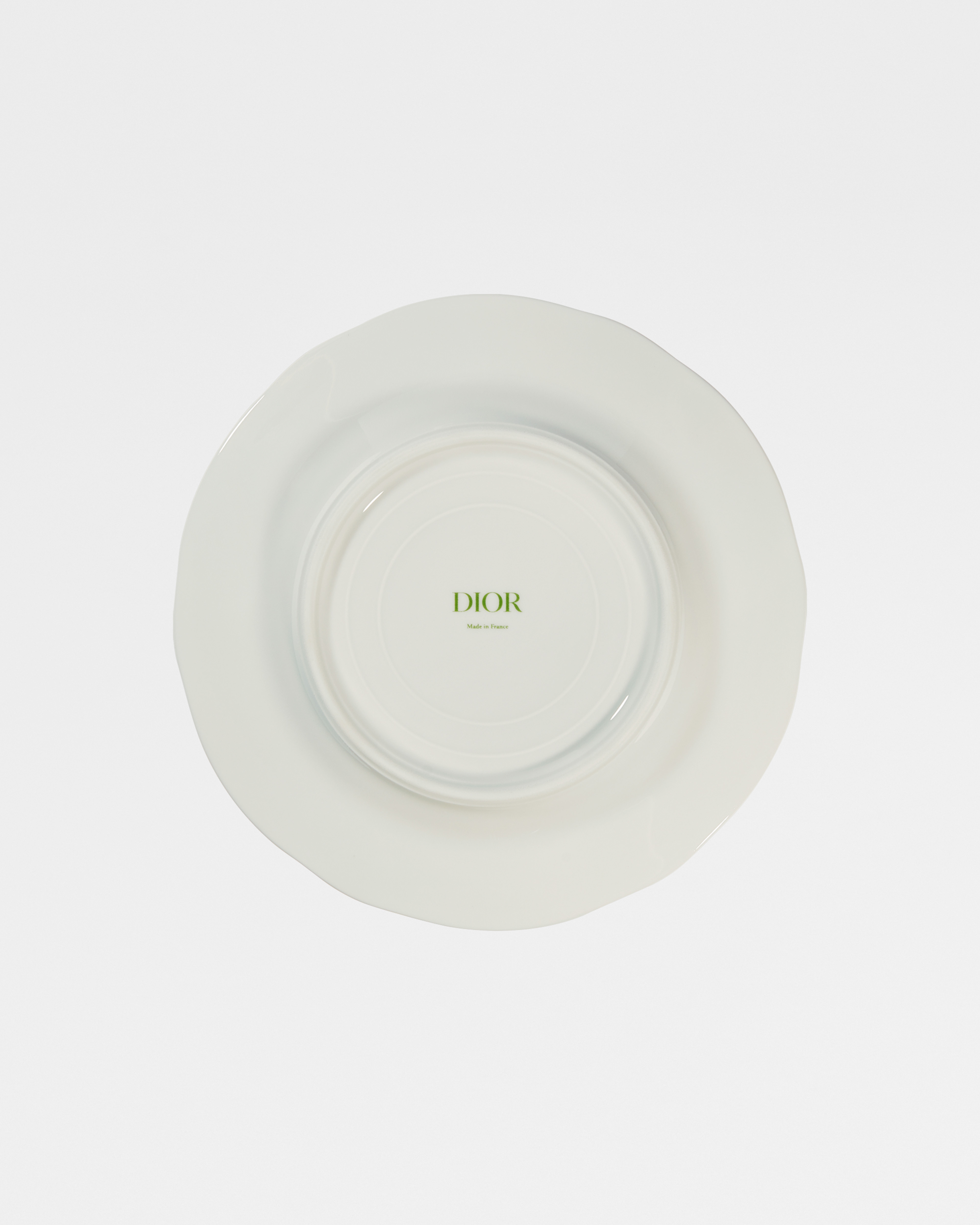 Dinner Plate Lily of the Valley, Green E08