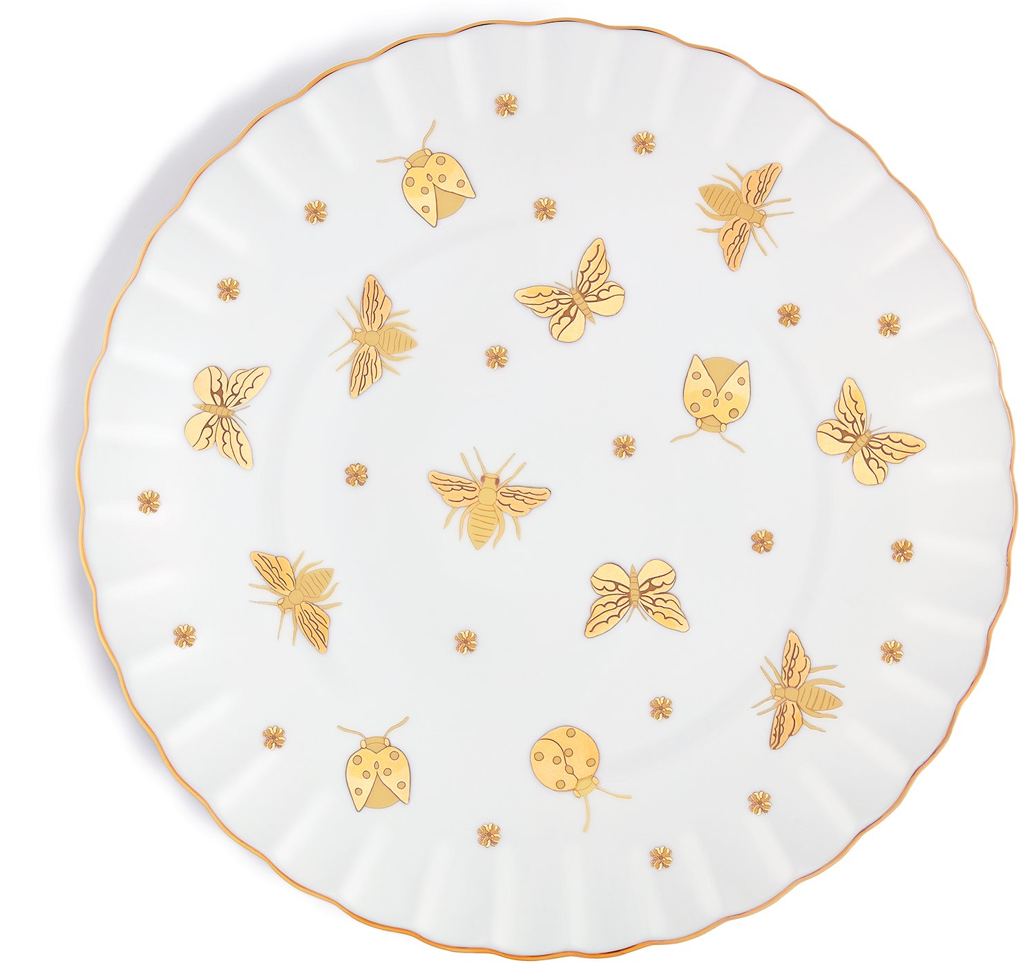 Dinner Plate Front view Front view