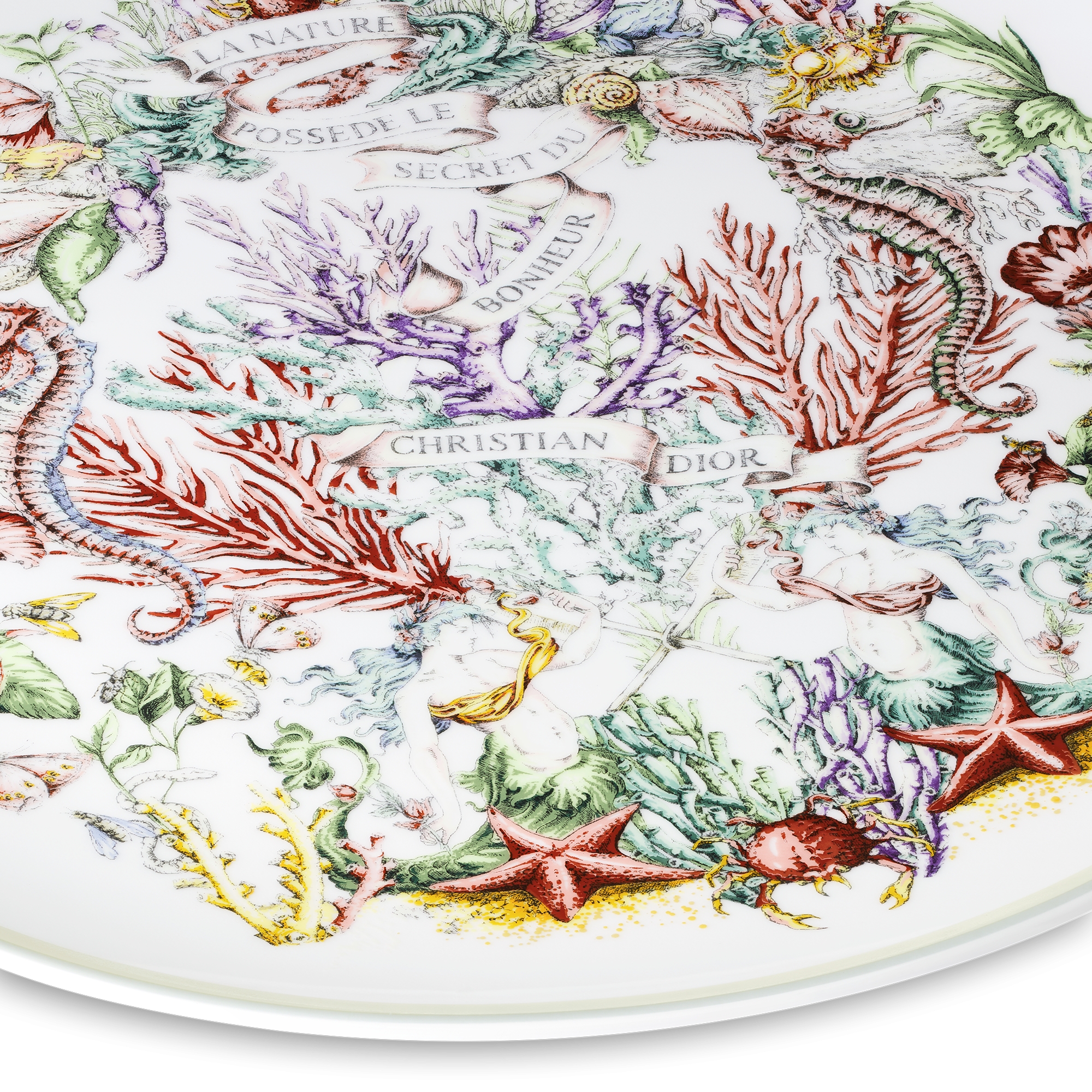 Dinner Plate White Limoges Porcelain with Multicolor Dior Cabinet de la Mer Motif E09