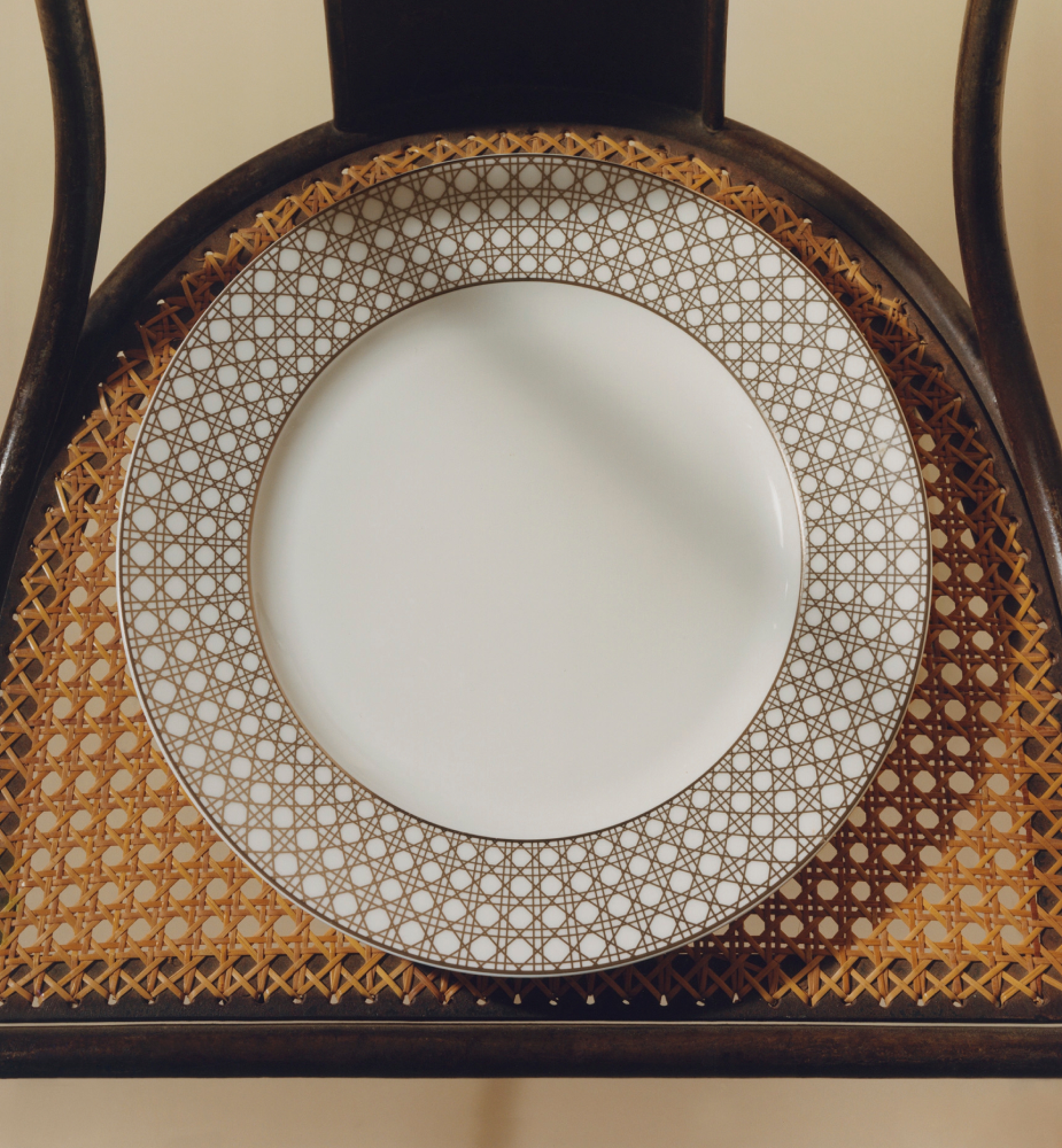 ディナープレート 27cm カナージュ モンテーニュ E12