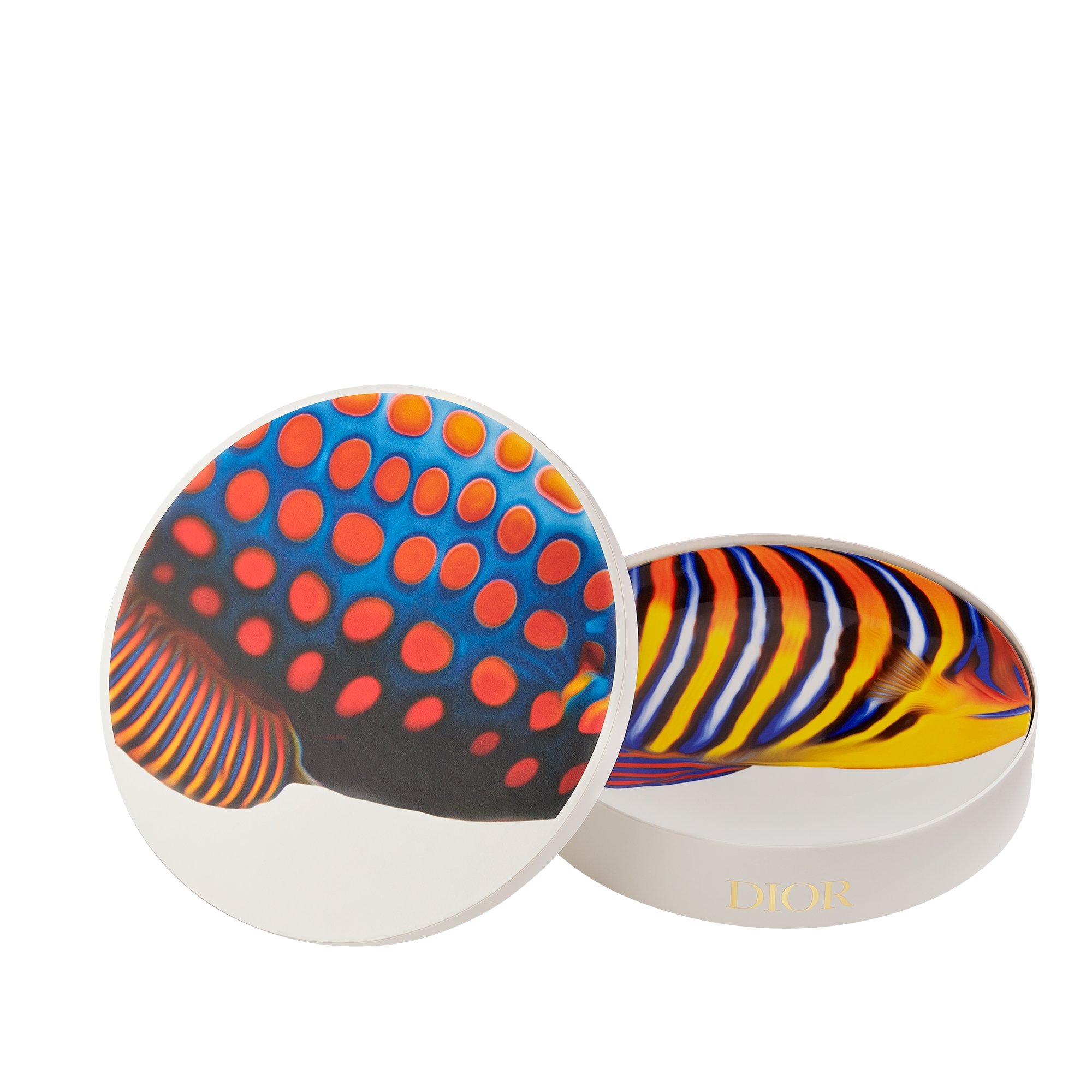 Set of Six Decorative Plates Multicolor Cheval Blanc, Saint Barthélemy E02