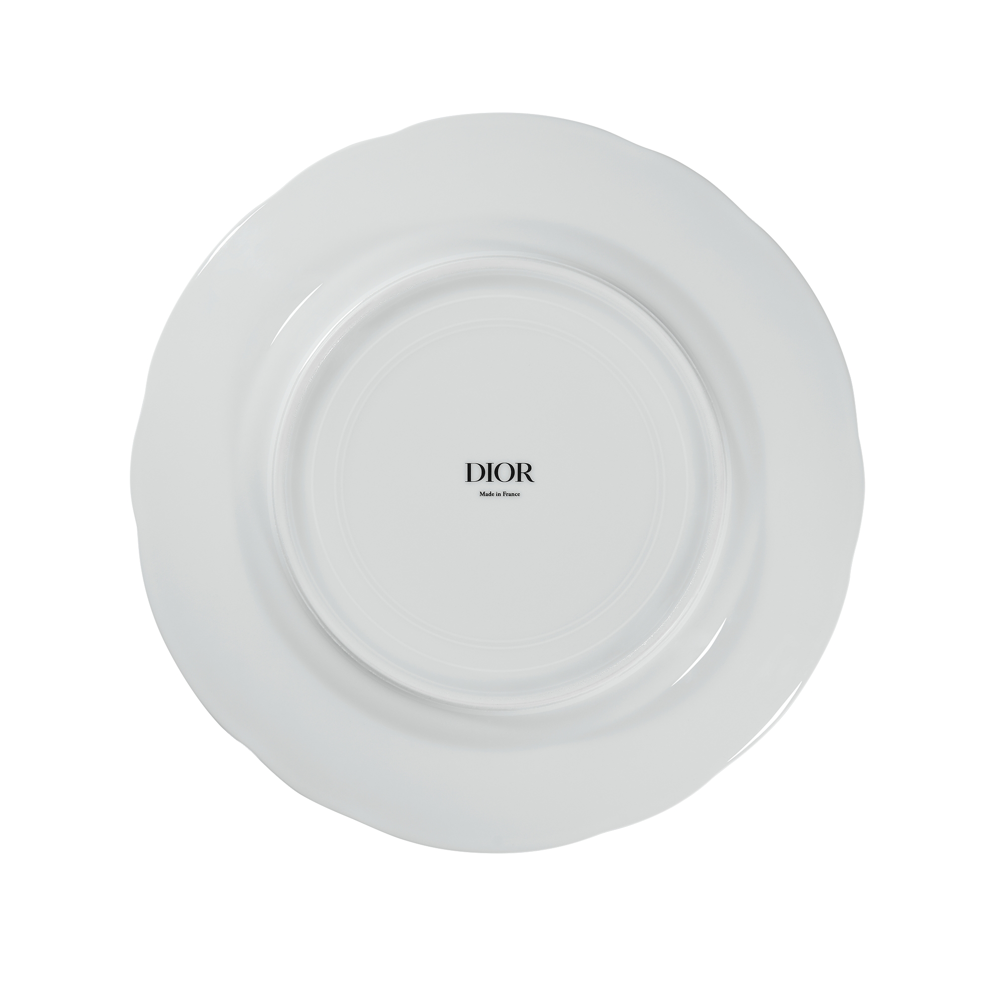 Dinner Plate