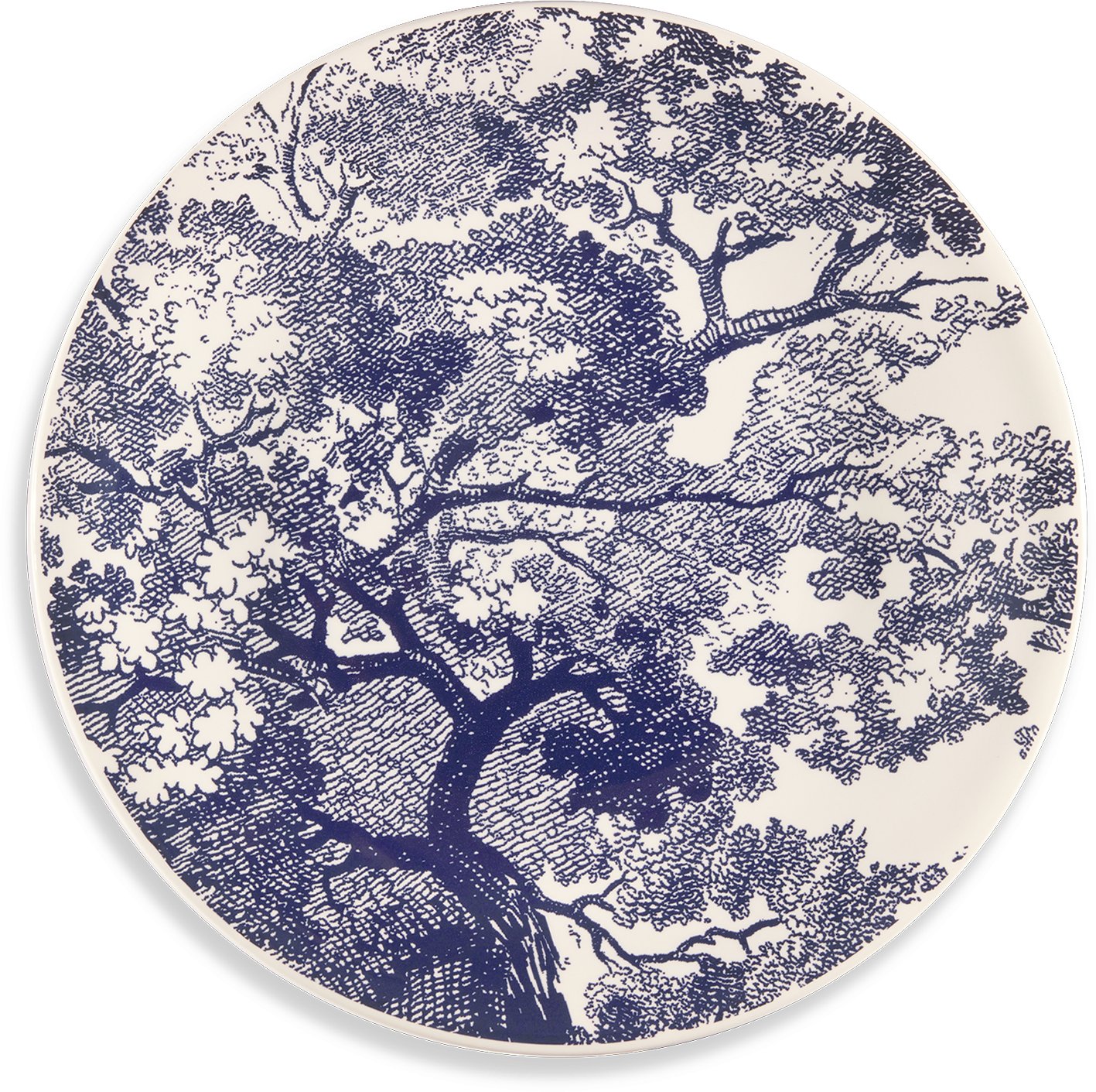 Set of Six Dinner Plates Three quarter opened view