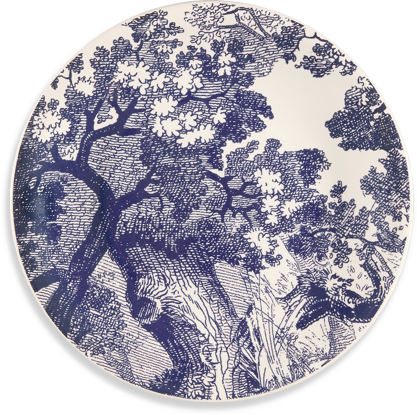 Set of Six Dinner Plates Top shot view