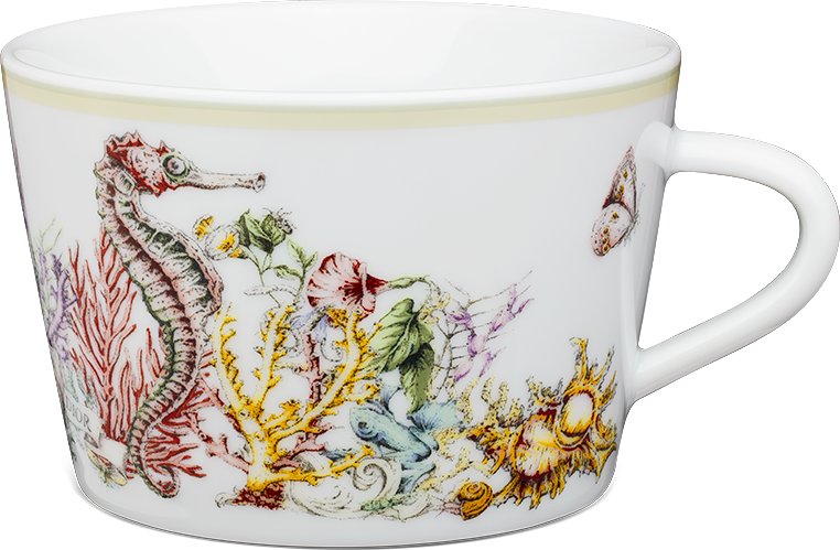 Teacup Front view Front view