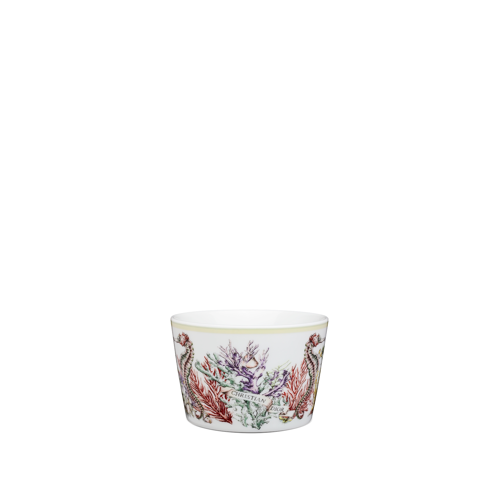 Teacup White Limoges Porcelain with Multicolor Dior Cabinet de la Mer Motif E08