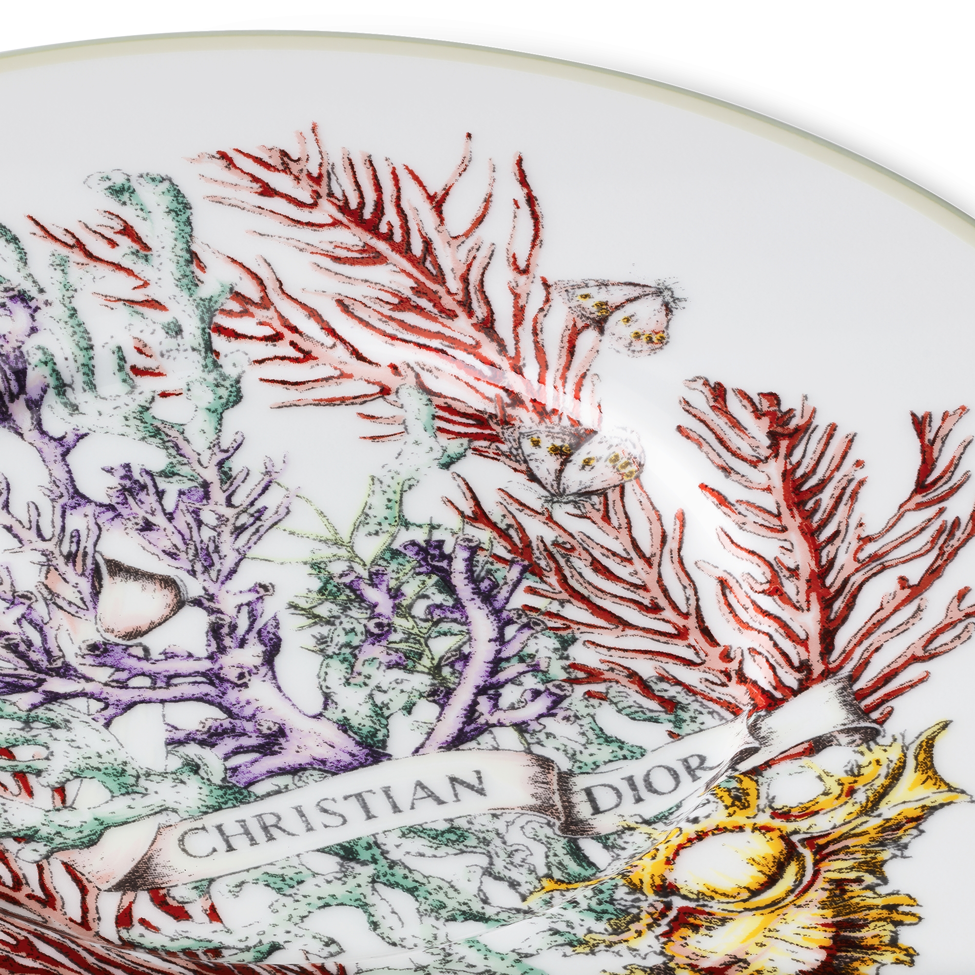 Tea Saucer White Limoges Porcelain with Multicolor Dior Cabinet de la Mer Motif E09