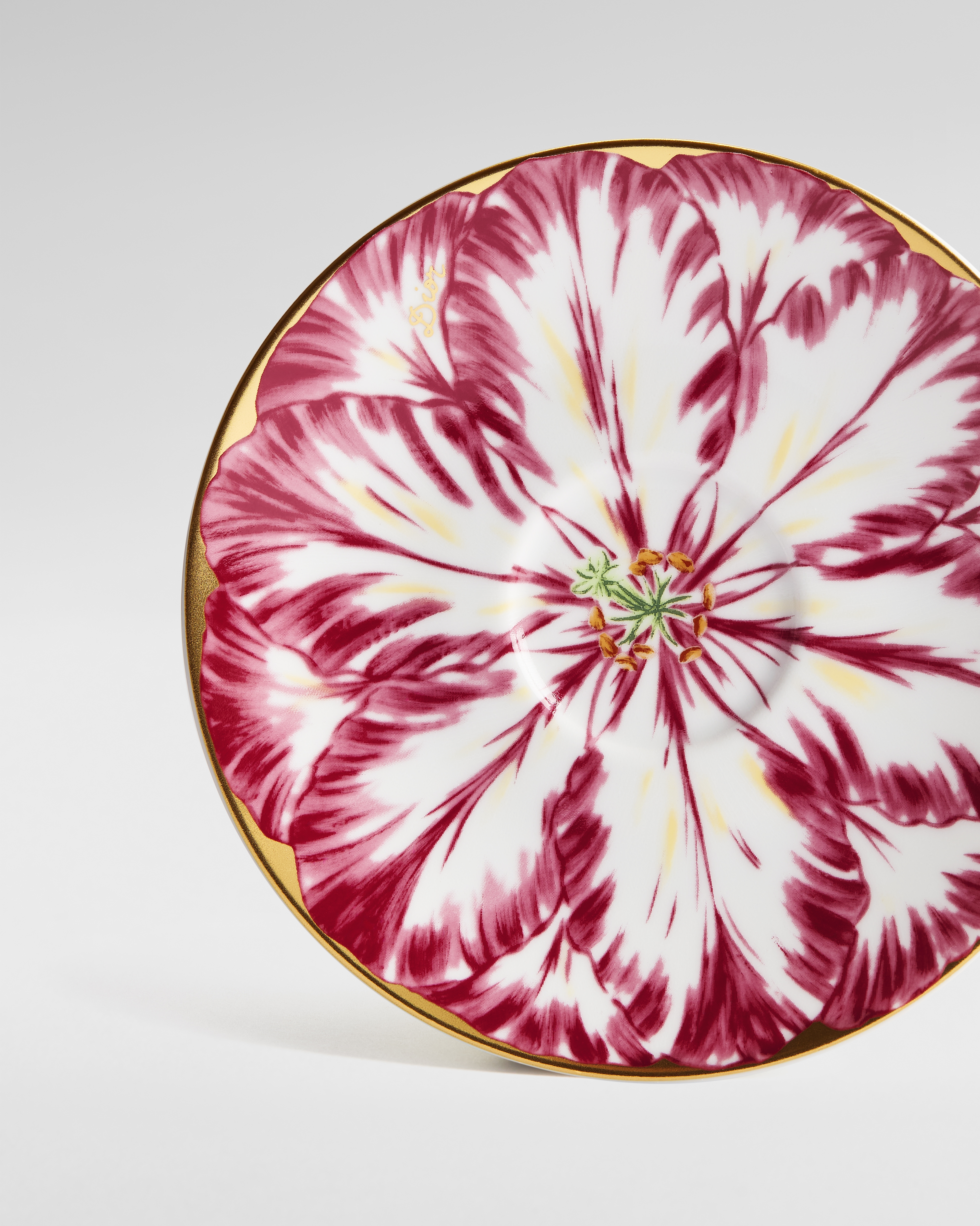 Coffee Cup and Saucer