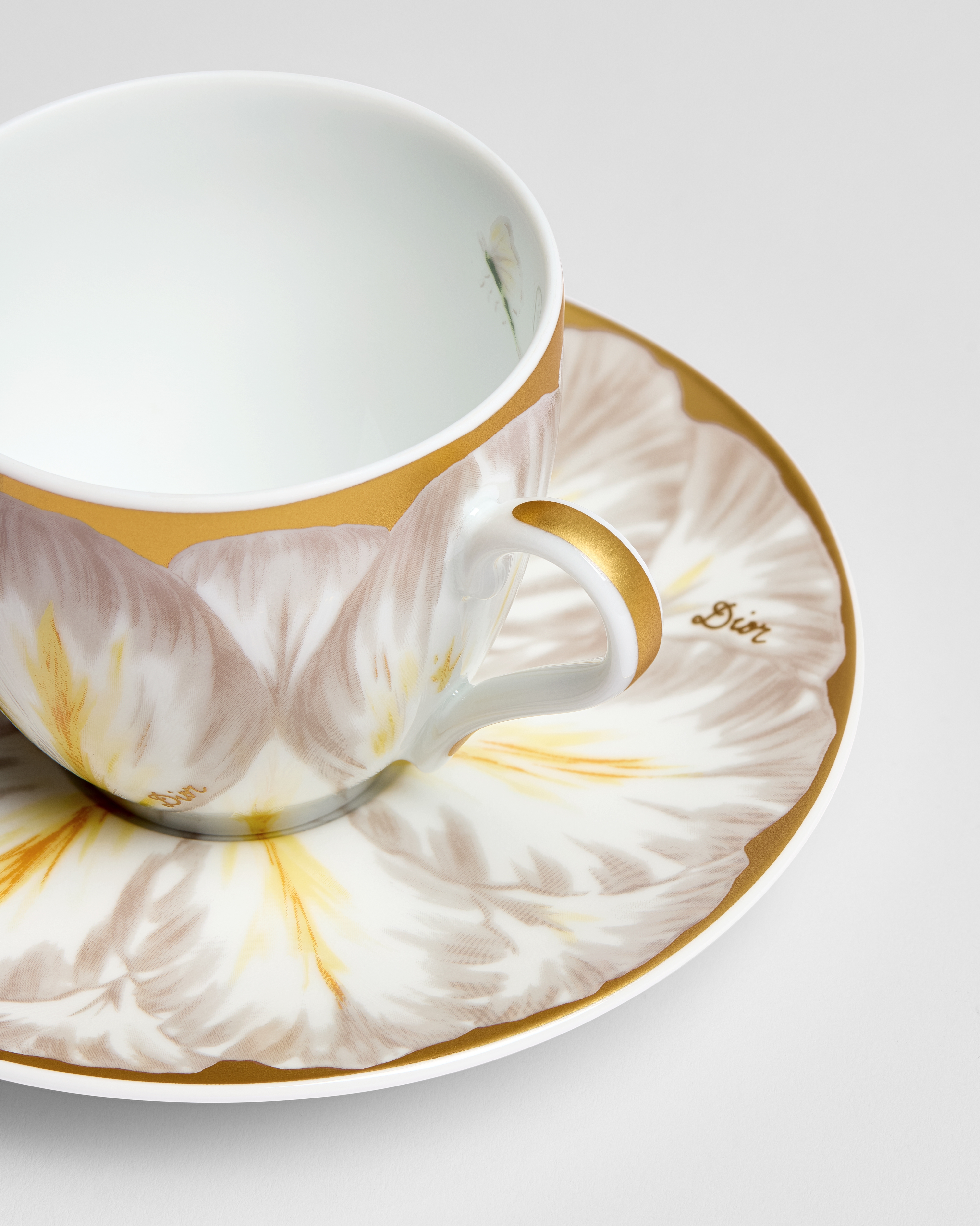 Coffee Cup and Saucer