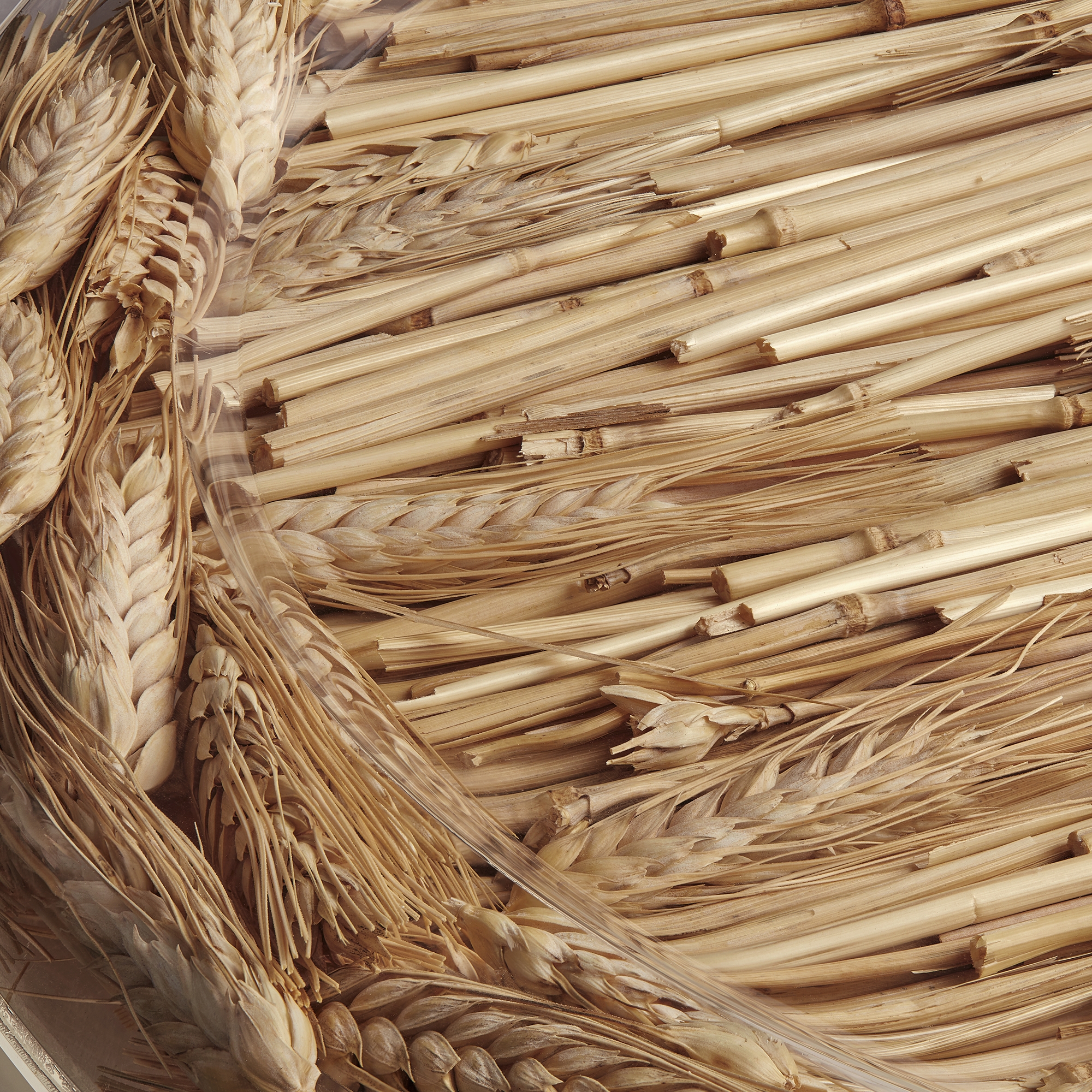 Plateau à fromage Blé E09