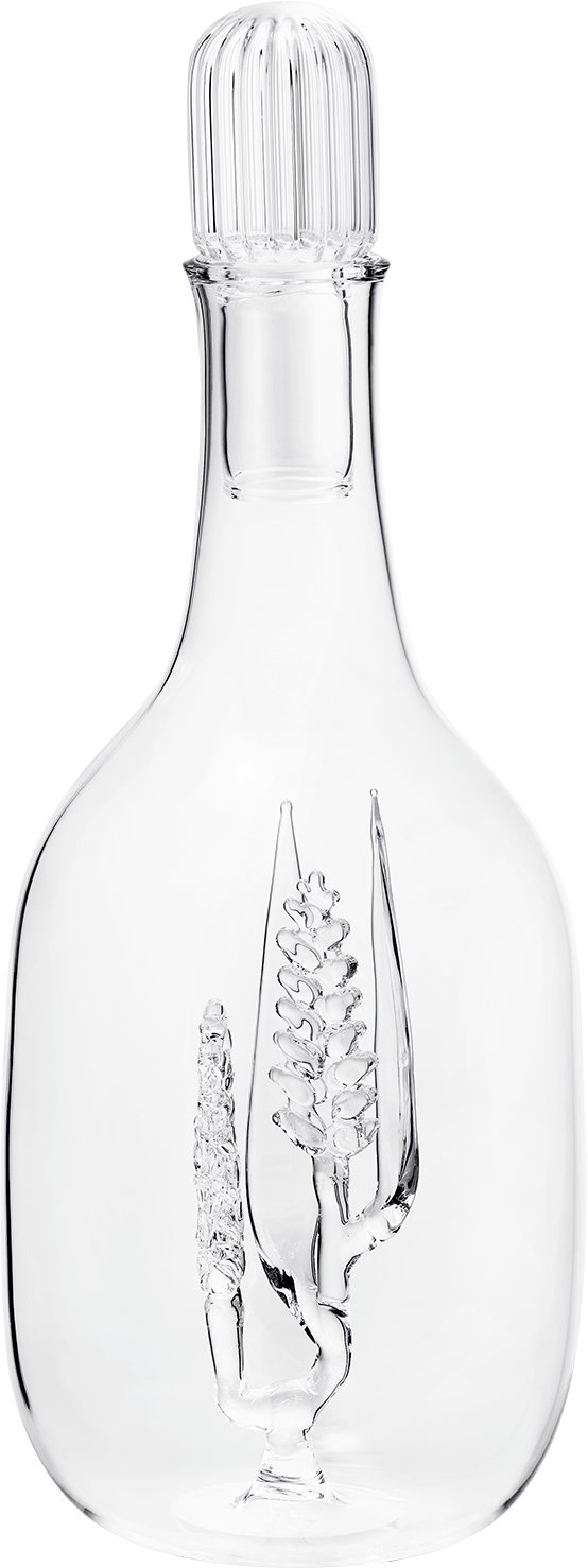 Caraffa aria_woman_viewcode_e01