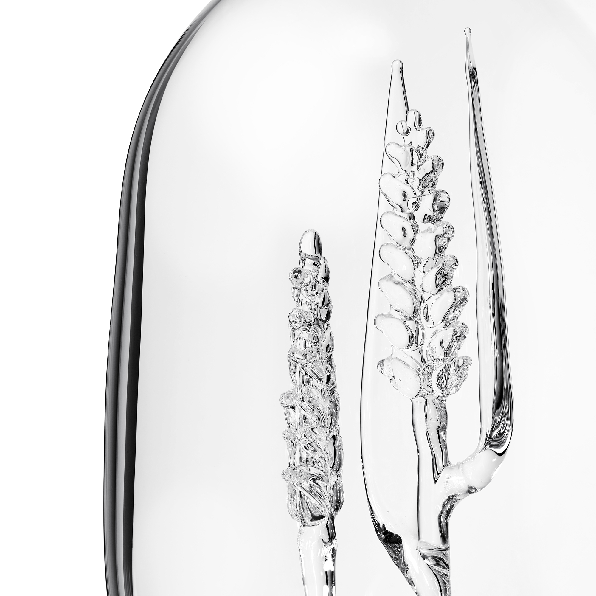 Carafe