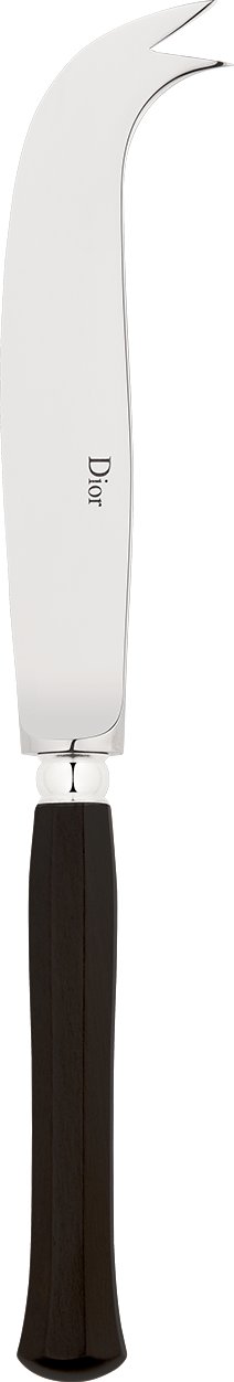 Cheese Knife aria_woman_viewcode_e01