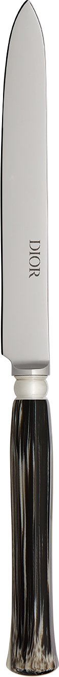 Table Knife aria_woman_viewcode_e01