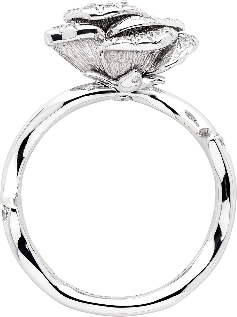 Dior bagatelle ring hot sale