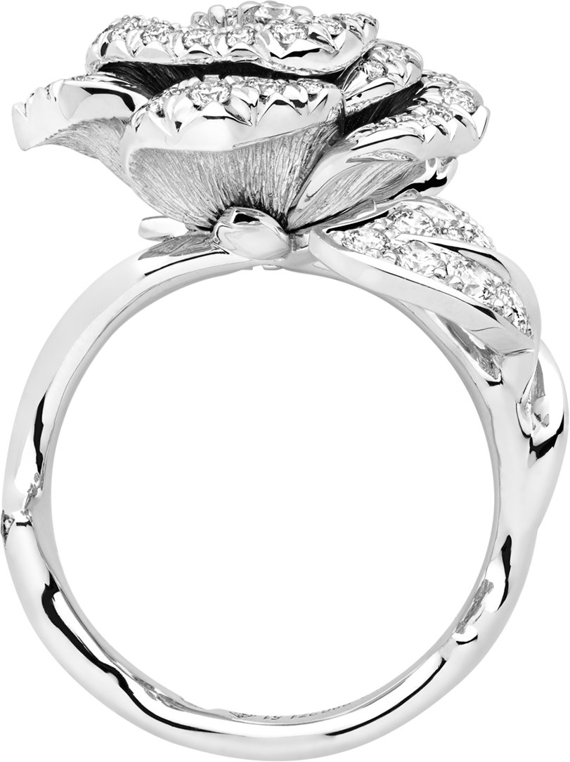 Dior rose ring clearance
