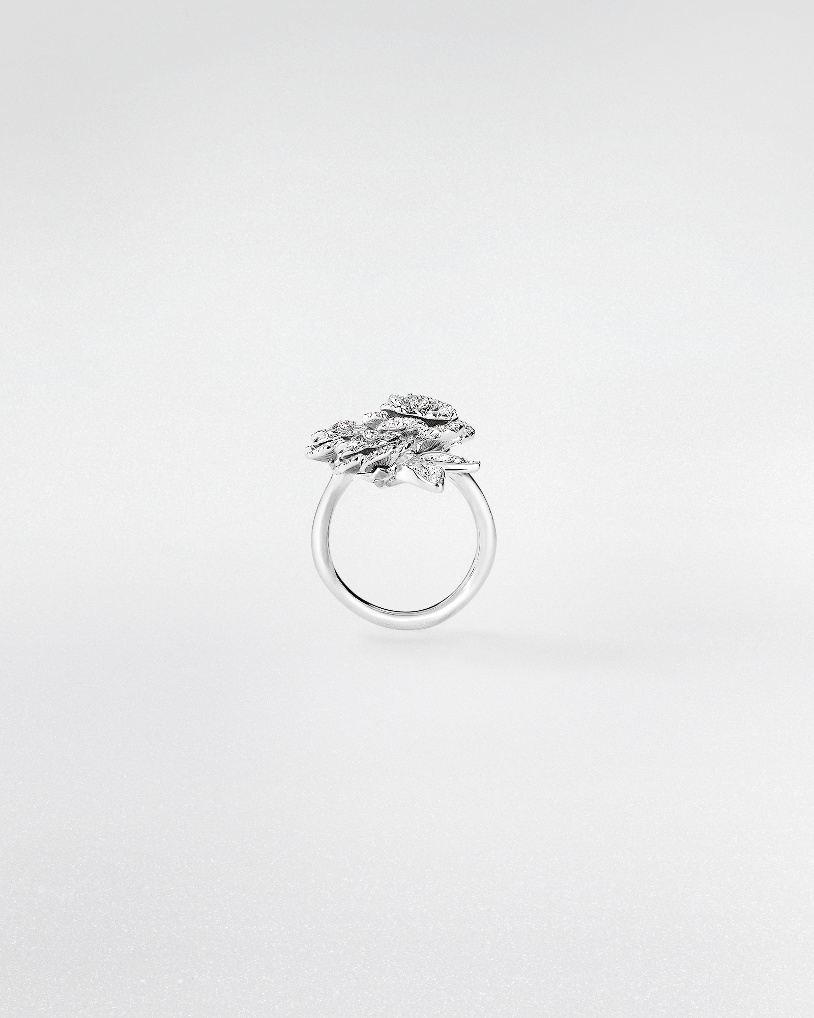 Rose Dior Bagatelle リング ホワイトゴールド & ダイヤモンド E02